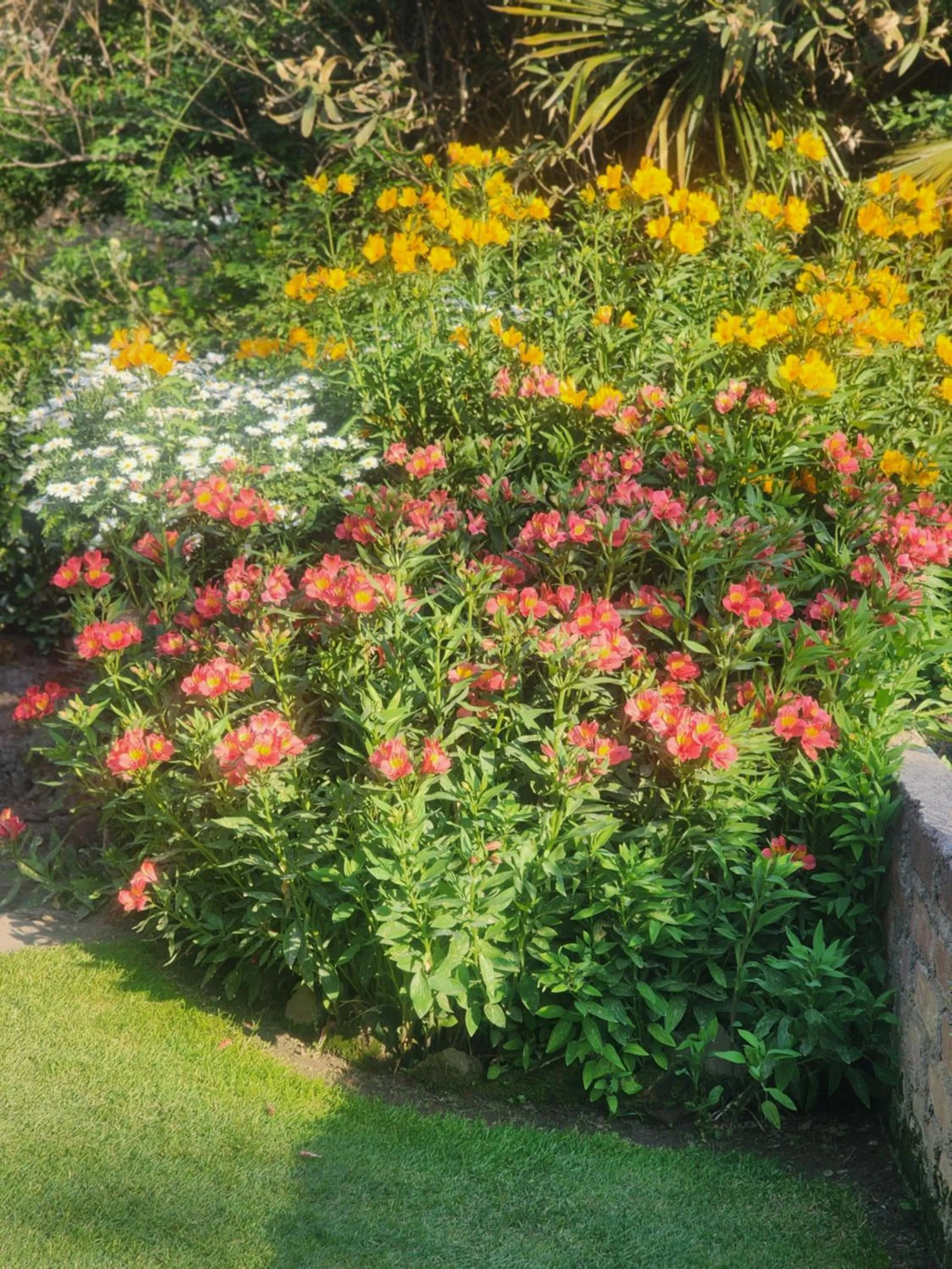 The Chalets Naldehra