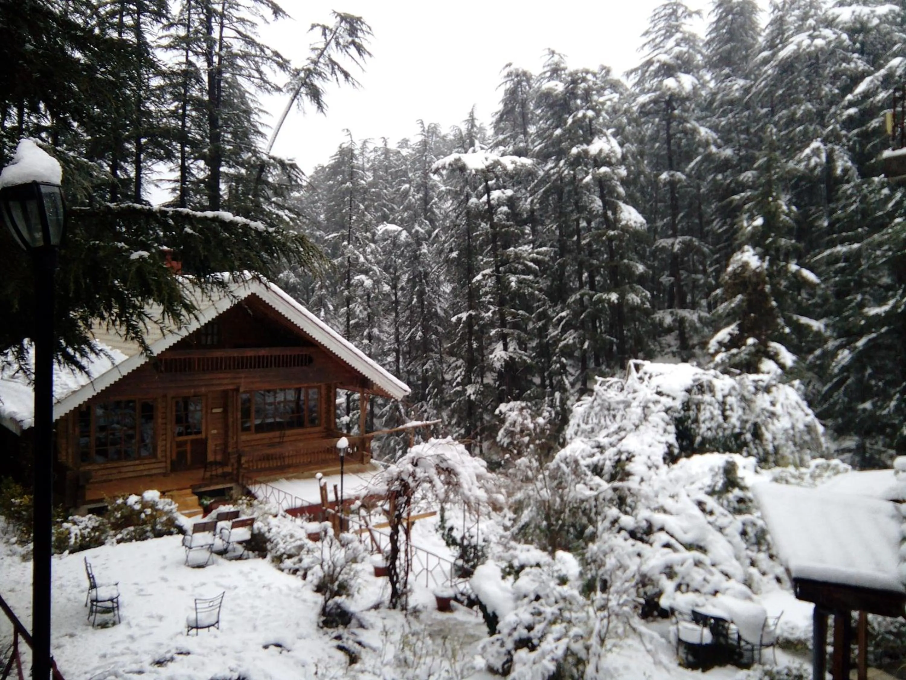 Property building in The Chalets Naldehra