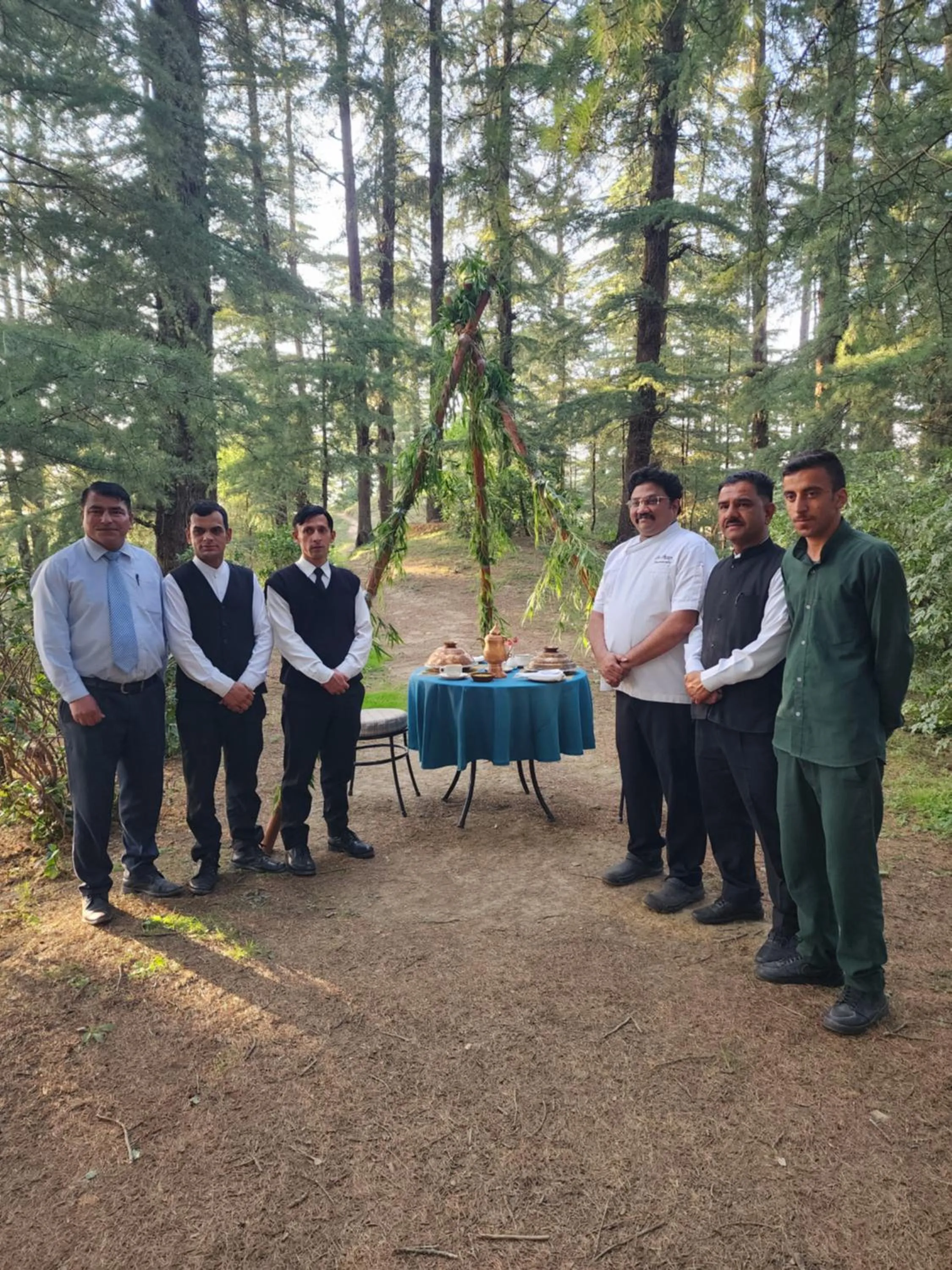 The Chalets Naldehra