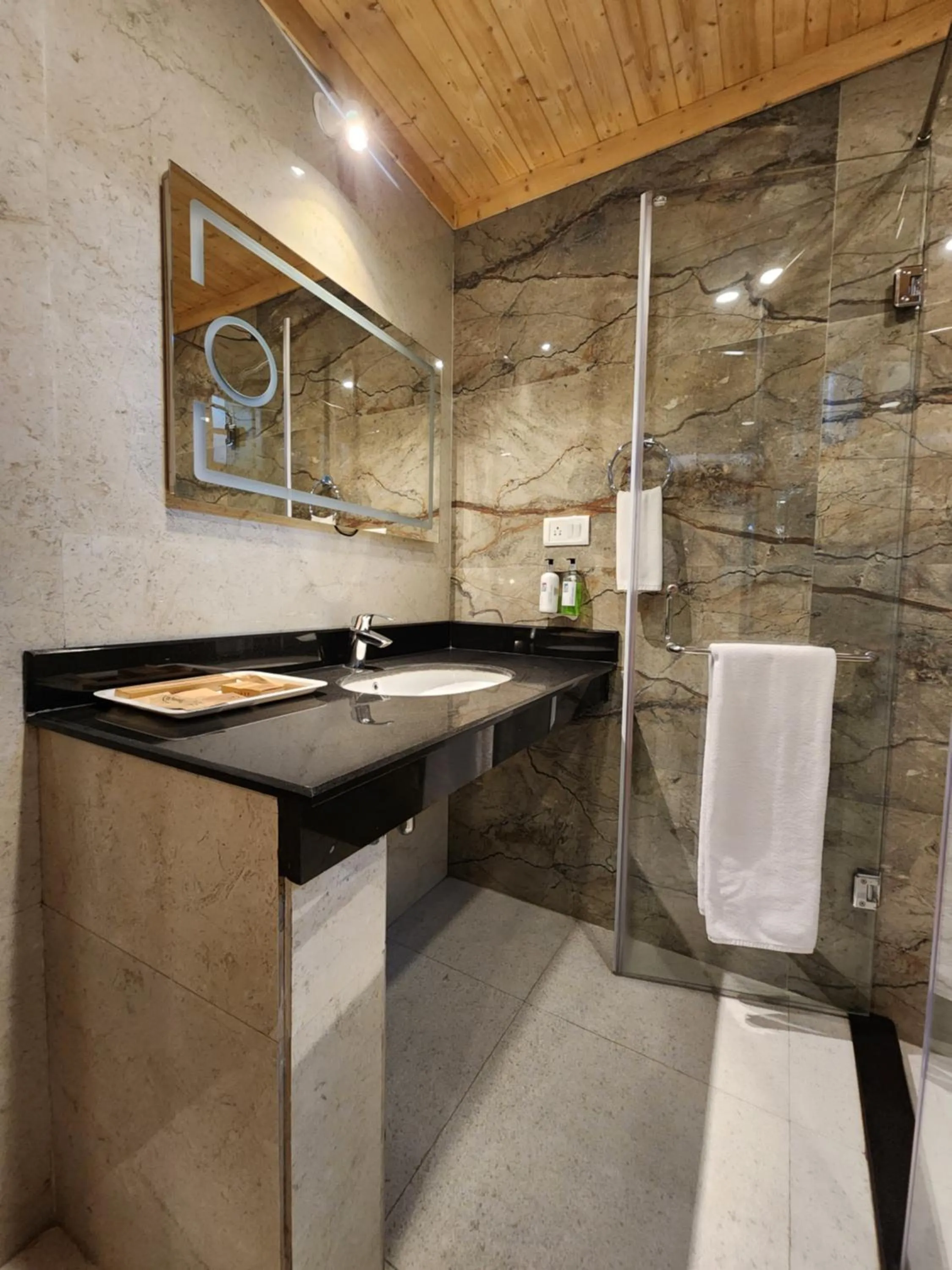 Bathroom in The Chalets Naldehra