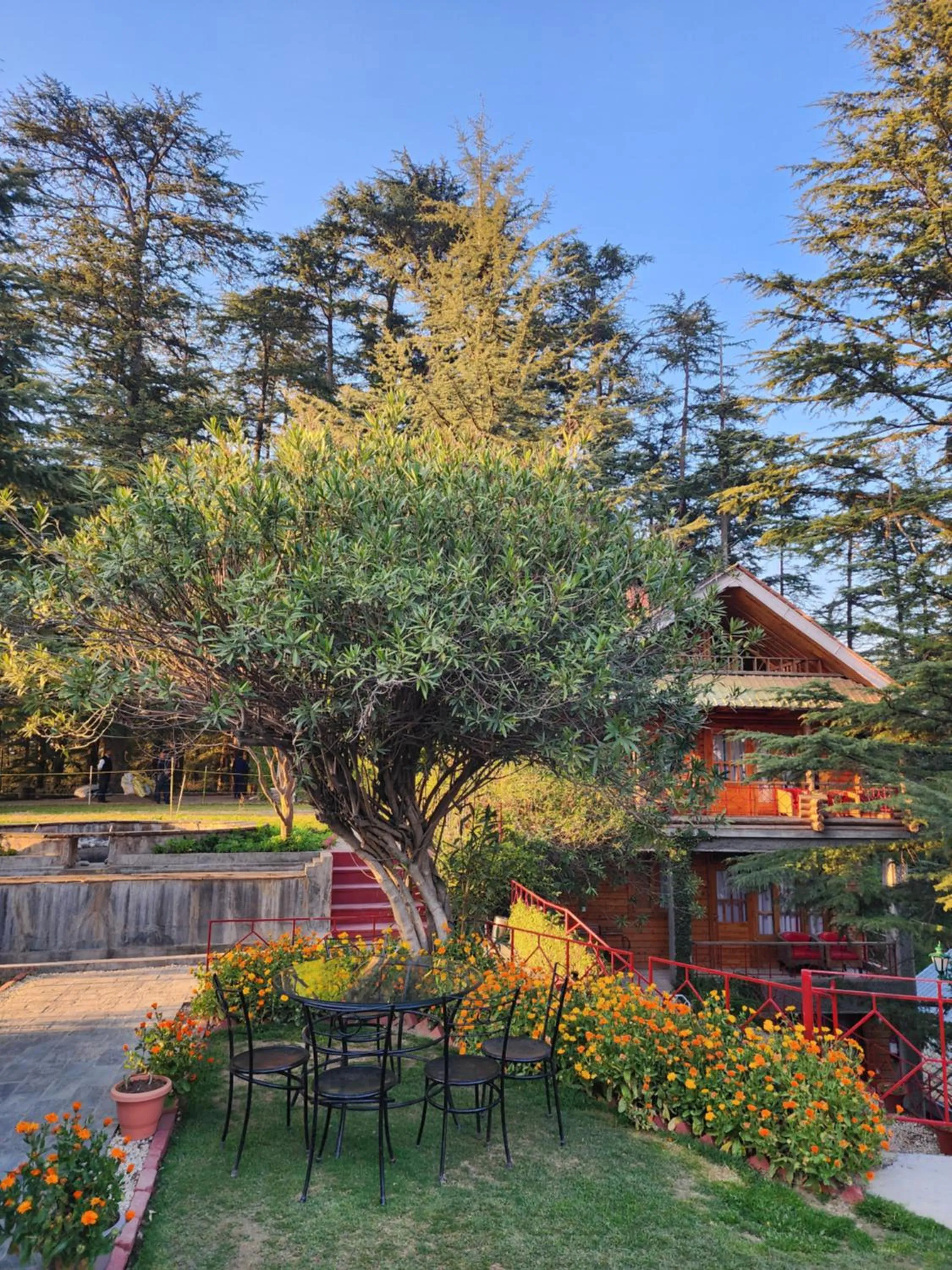 The Chalets Naldehra