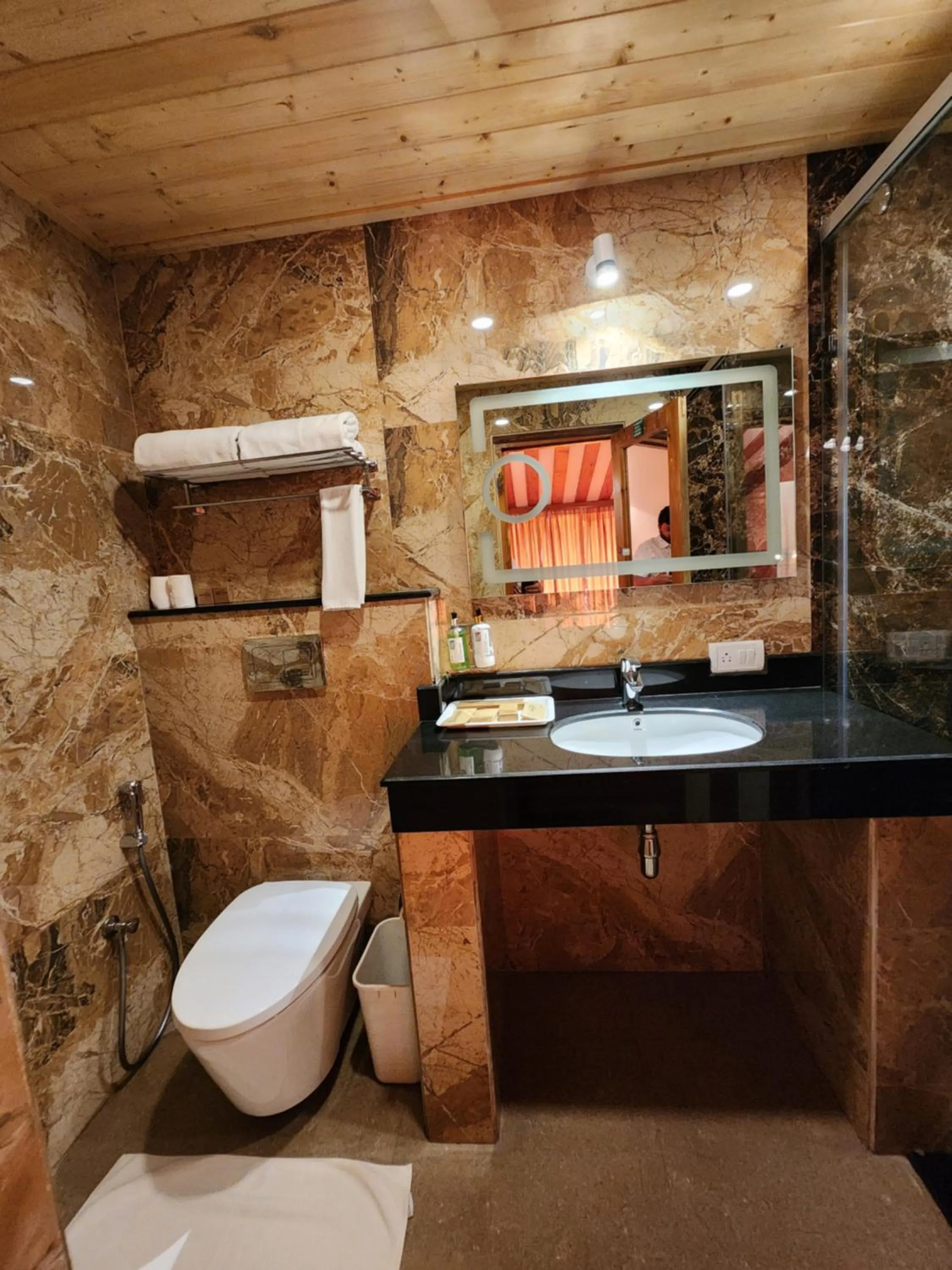 Toilet in The Chalets Naldehra