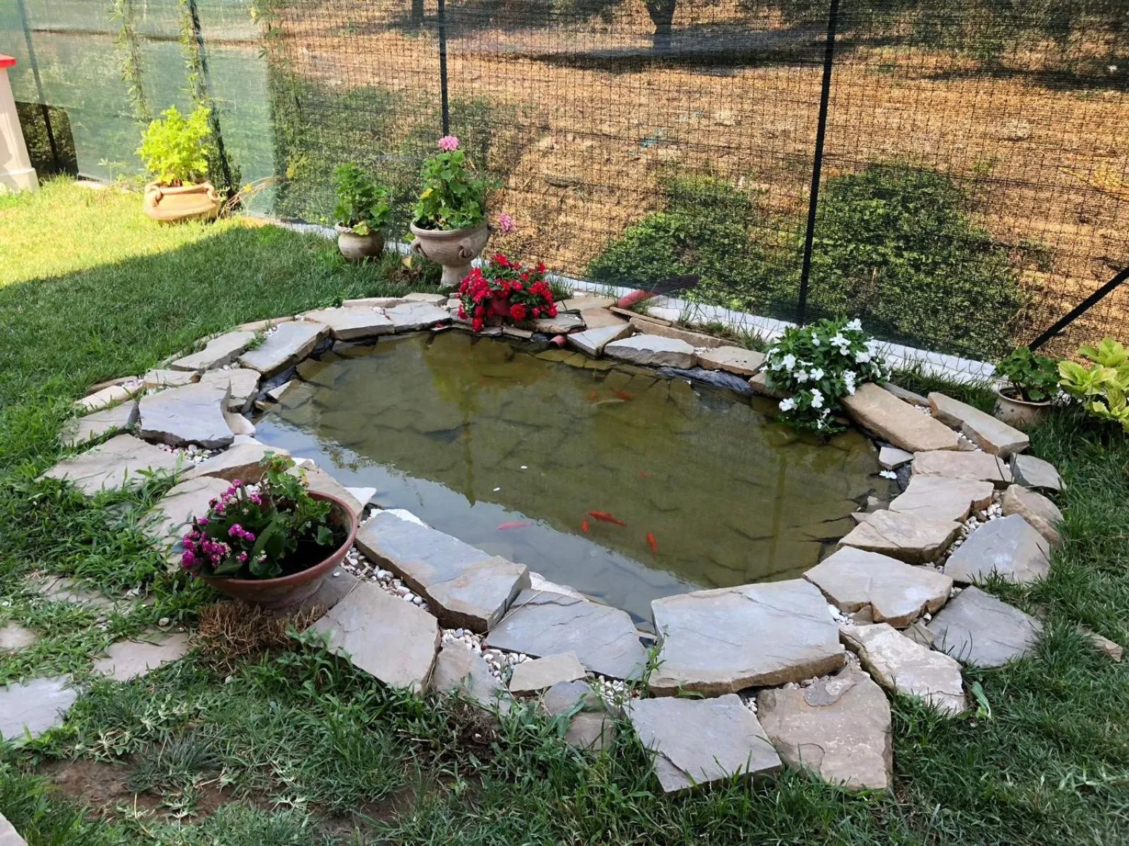 Il Rifugio Di Vincenzo