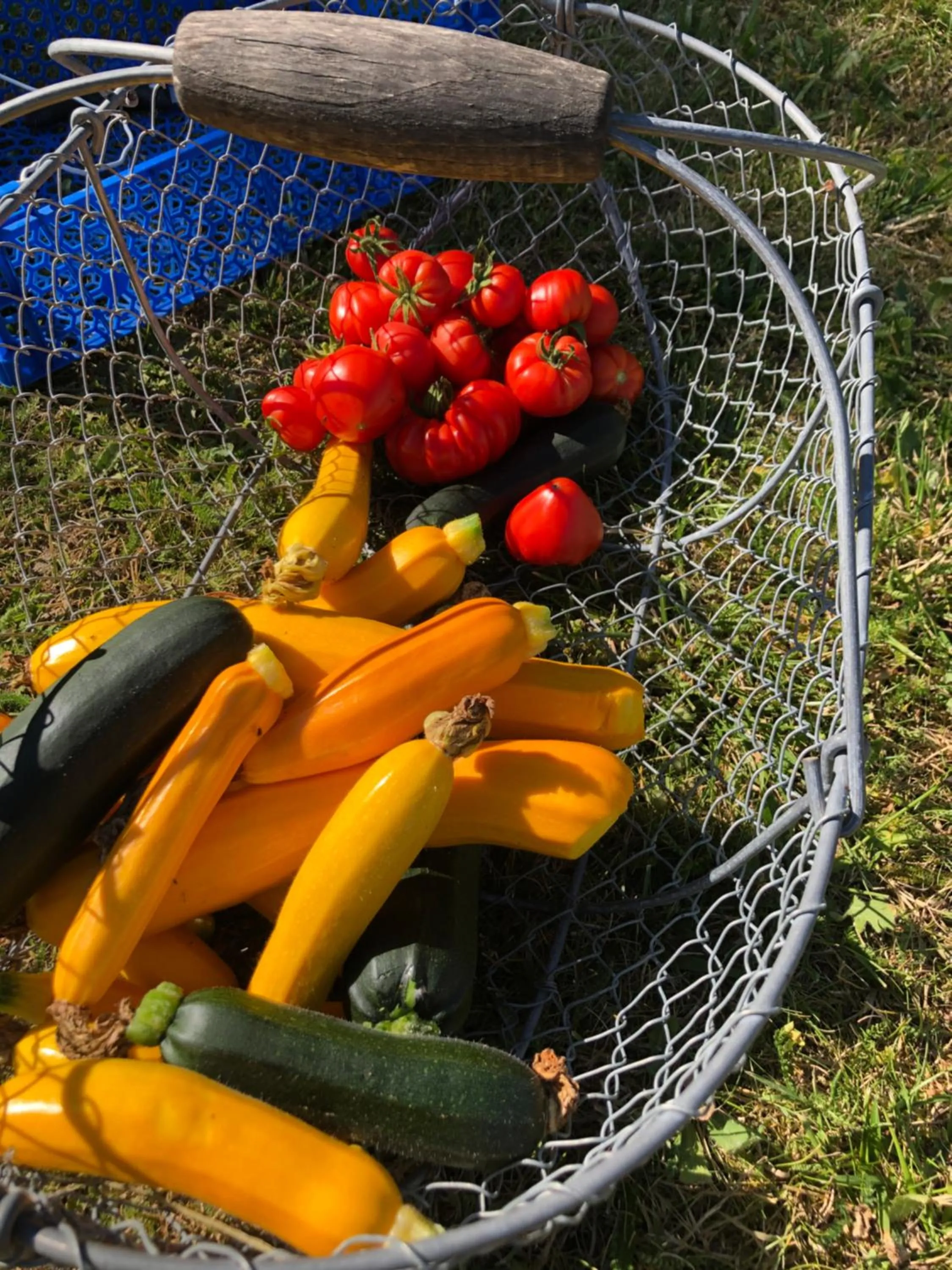 Garden in Demeures & Châteaux, La Ferme des Mares