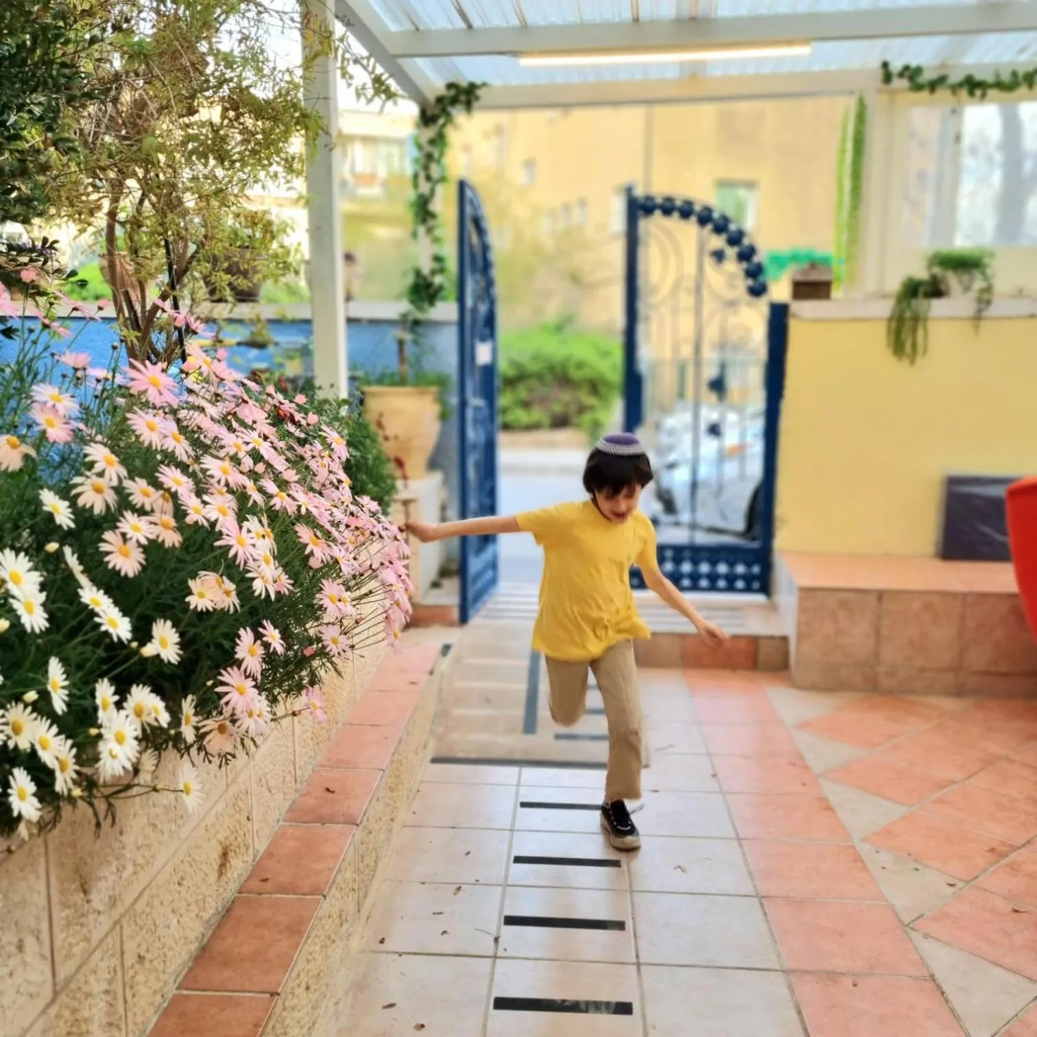Garden in Mike's House Jerusalem