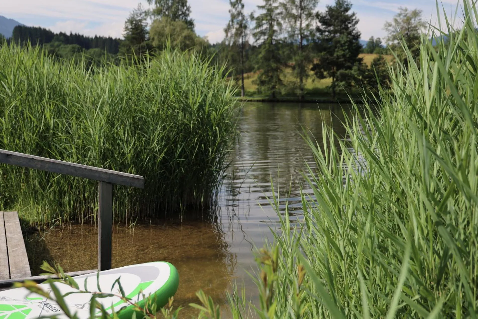 Activities in Ritzenhof - Hotel und Spa am See 4-Sterne-Superior