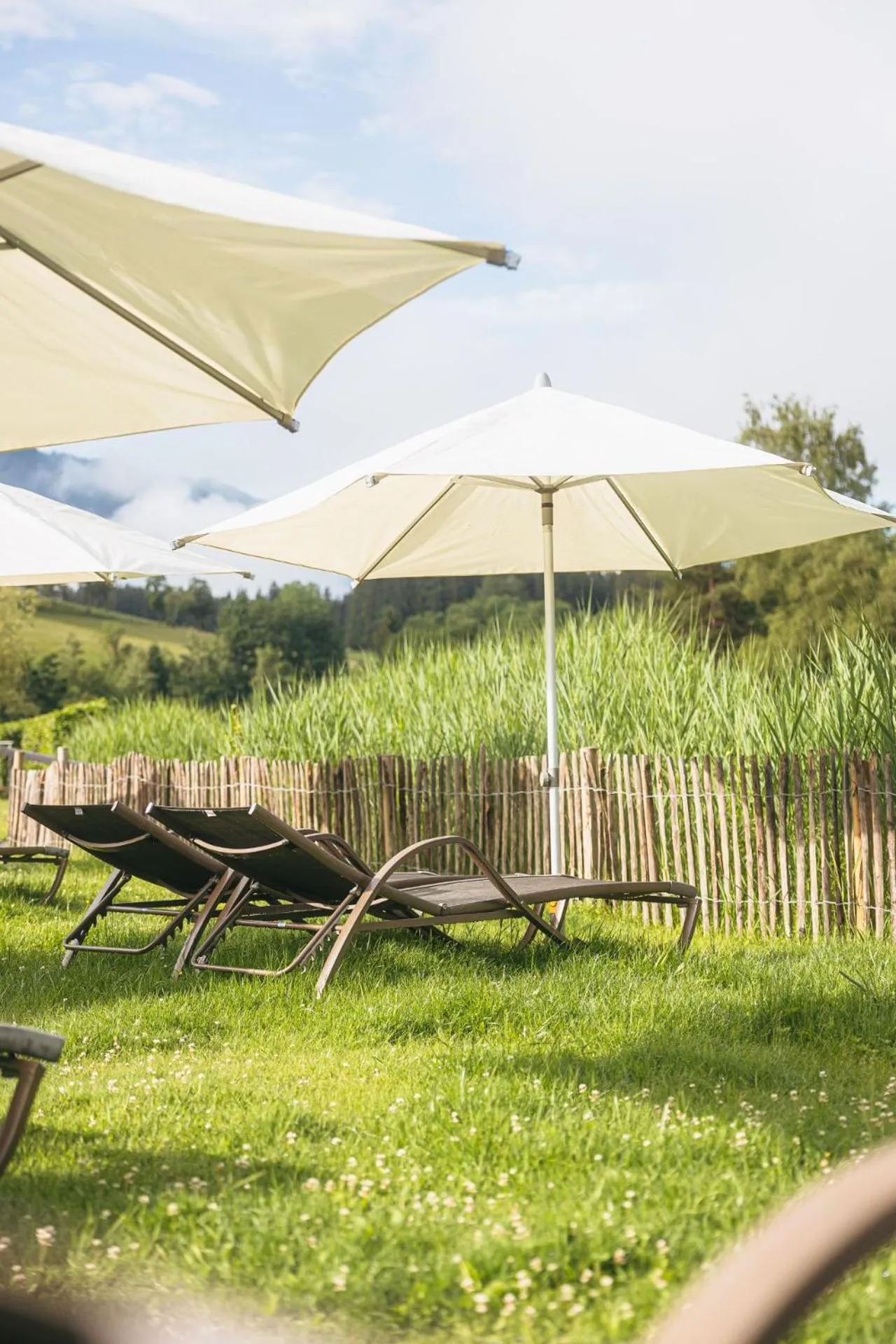 Spa and wellness centre/facilities in Ritzenhof - Hotel und Spa am See 4-Sterne-Superior