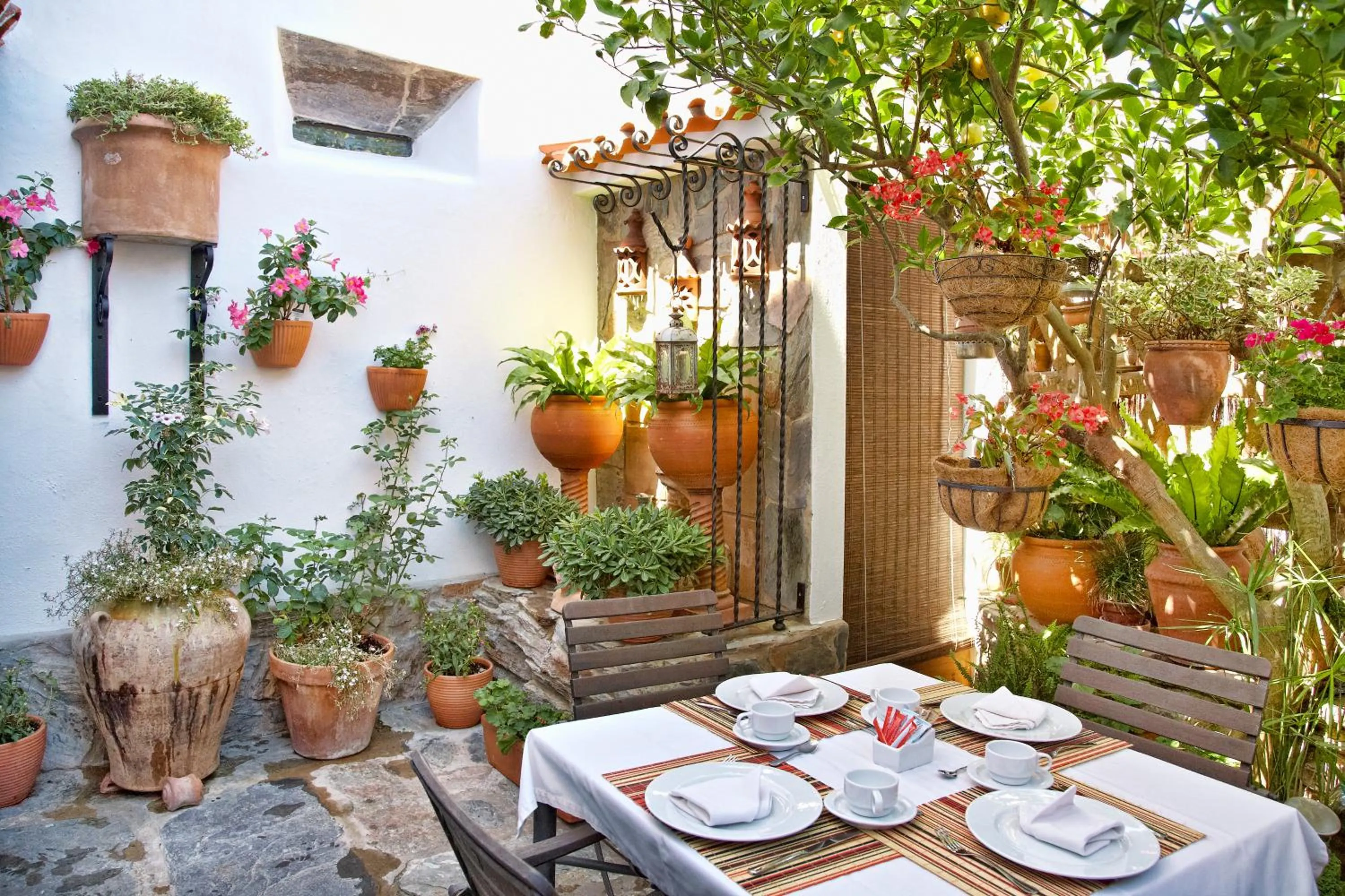 Garden in Casa Pinto