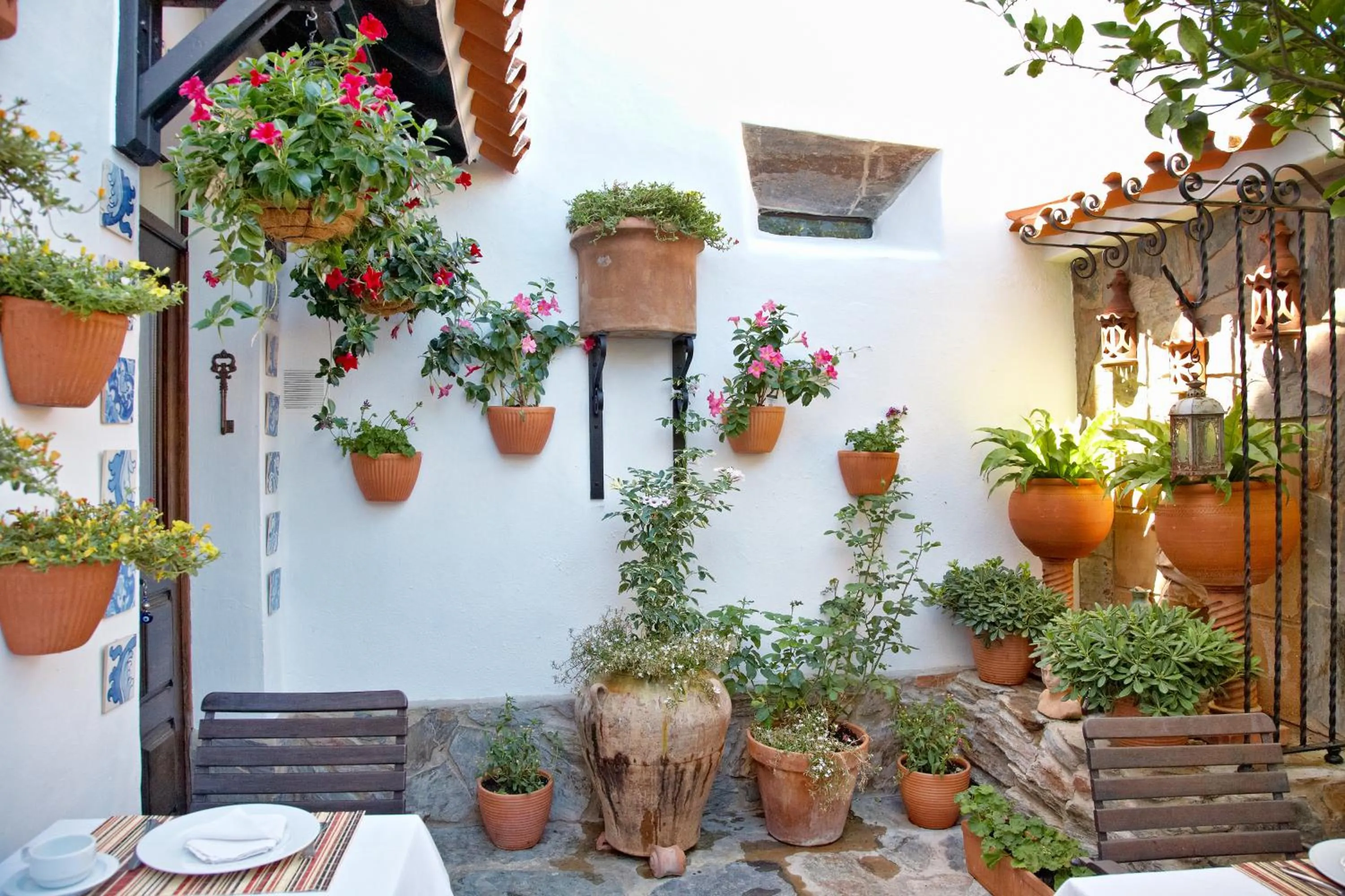 Garden in Casa Pinto