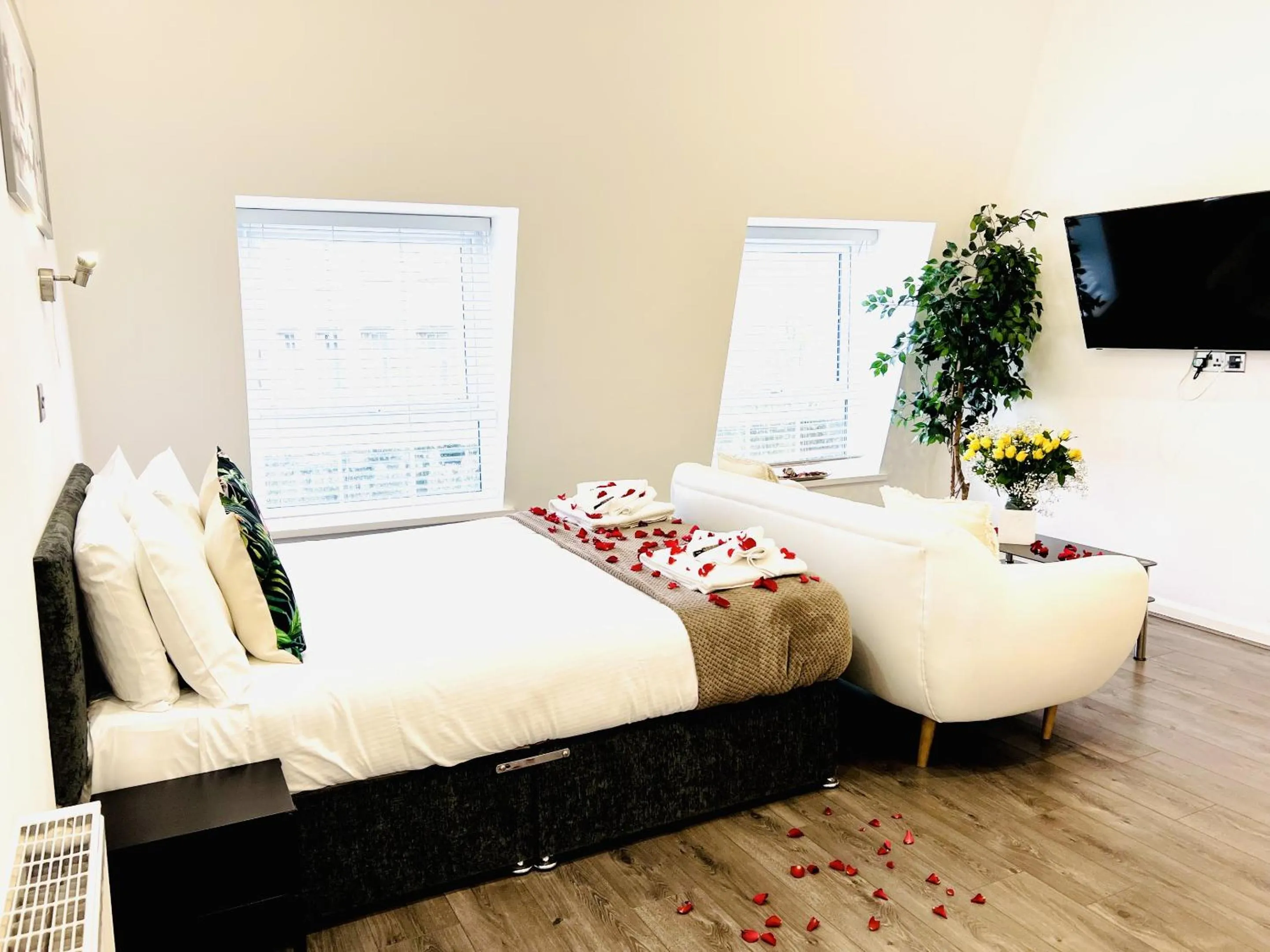 Other, Bed in Fox House, Studio Apartments