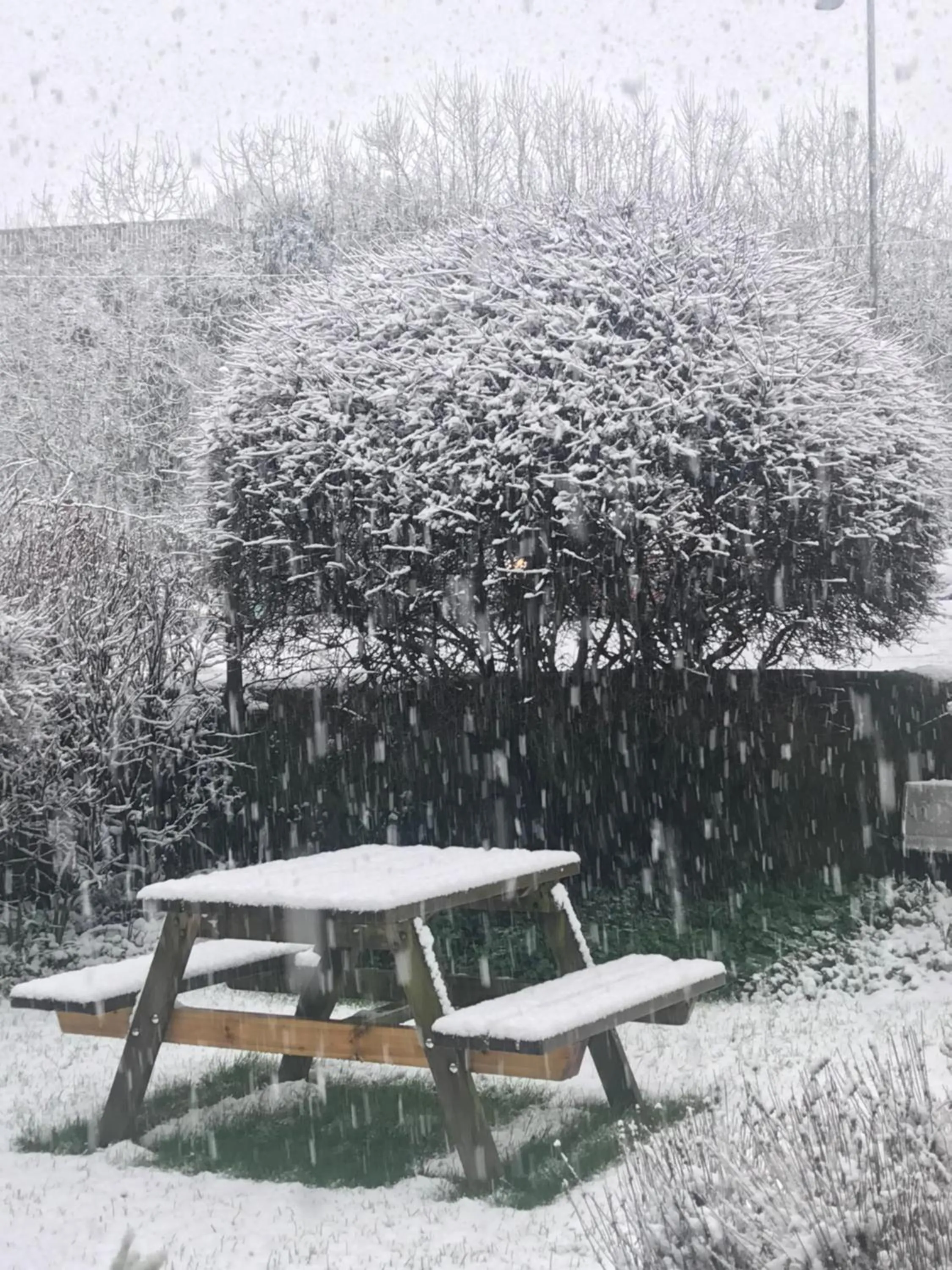Garden in SPRING GARDENS B&B