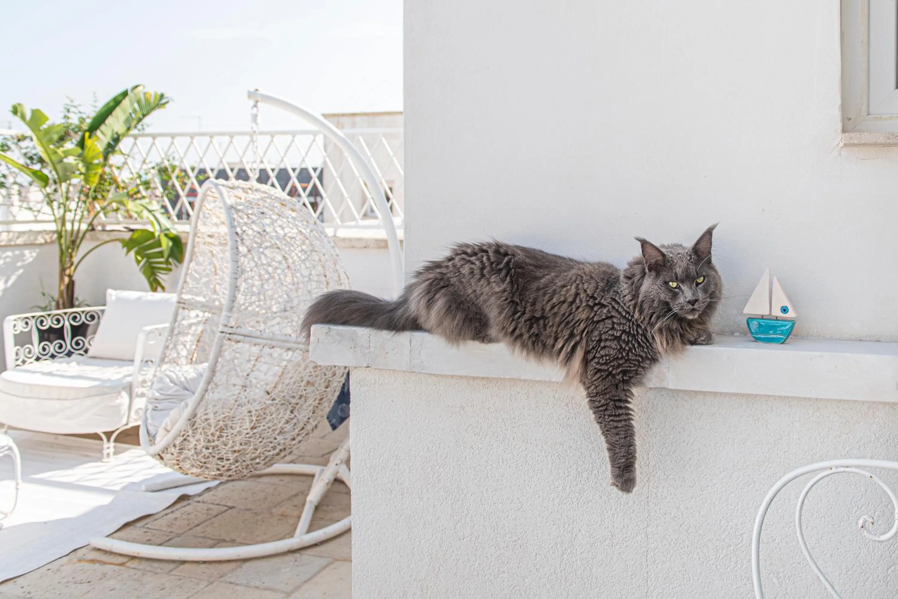 Balcony/Terrace in B&B Le Bateau Bleu Adults Only 12 plus