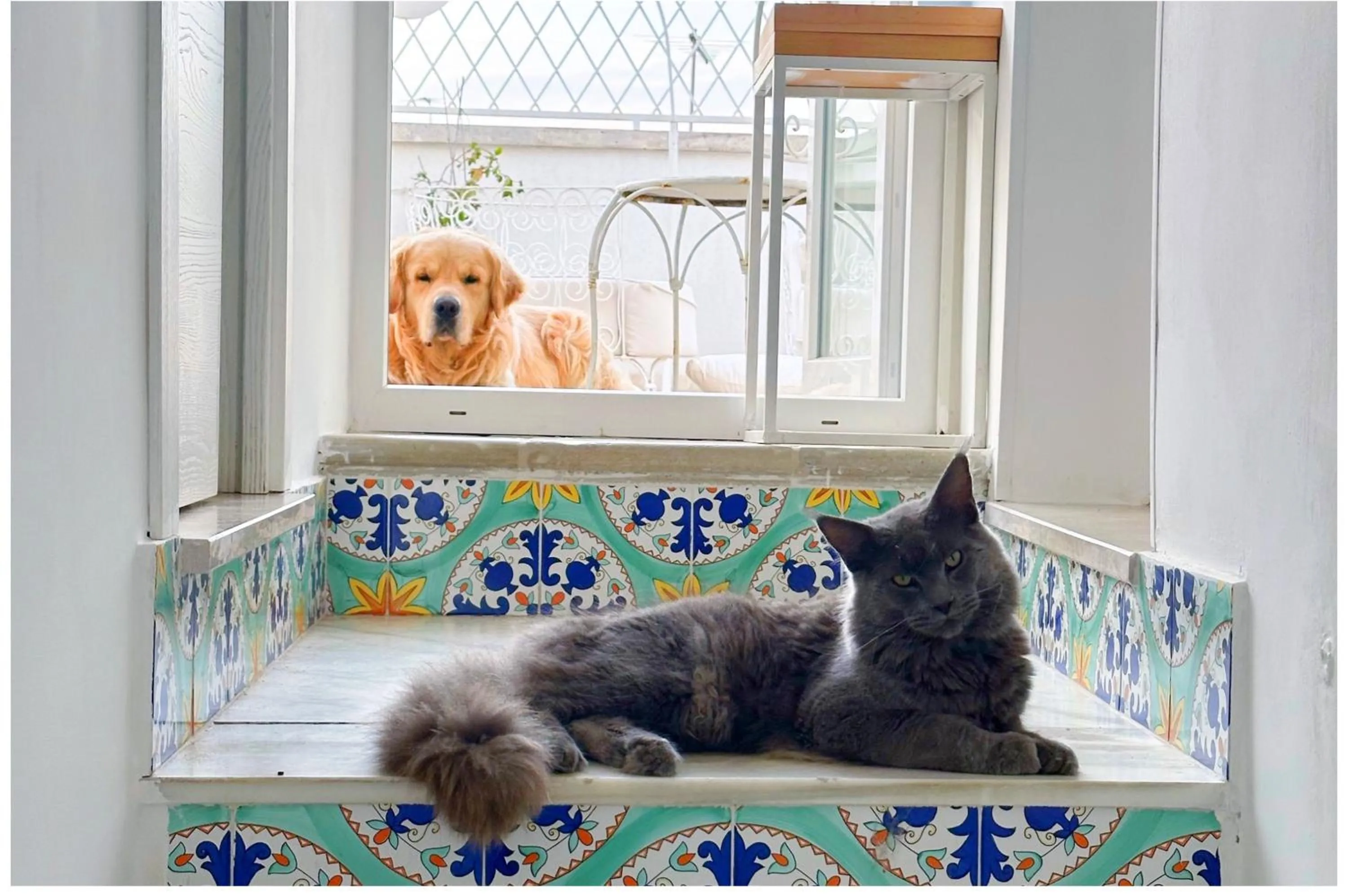 B&B Le Bateau Bleu Adults Only 12 plus