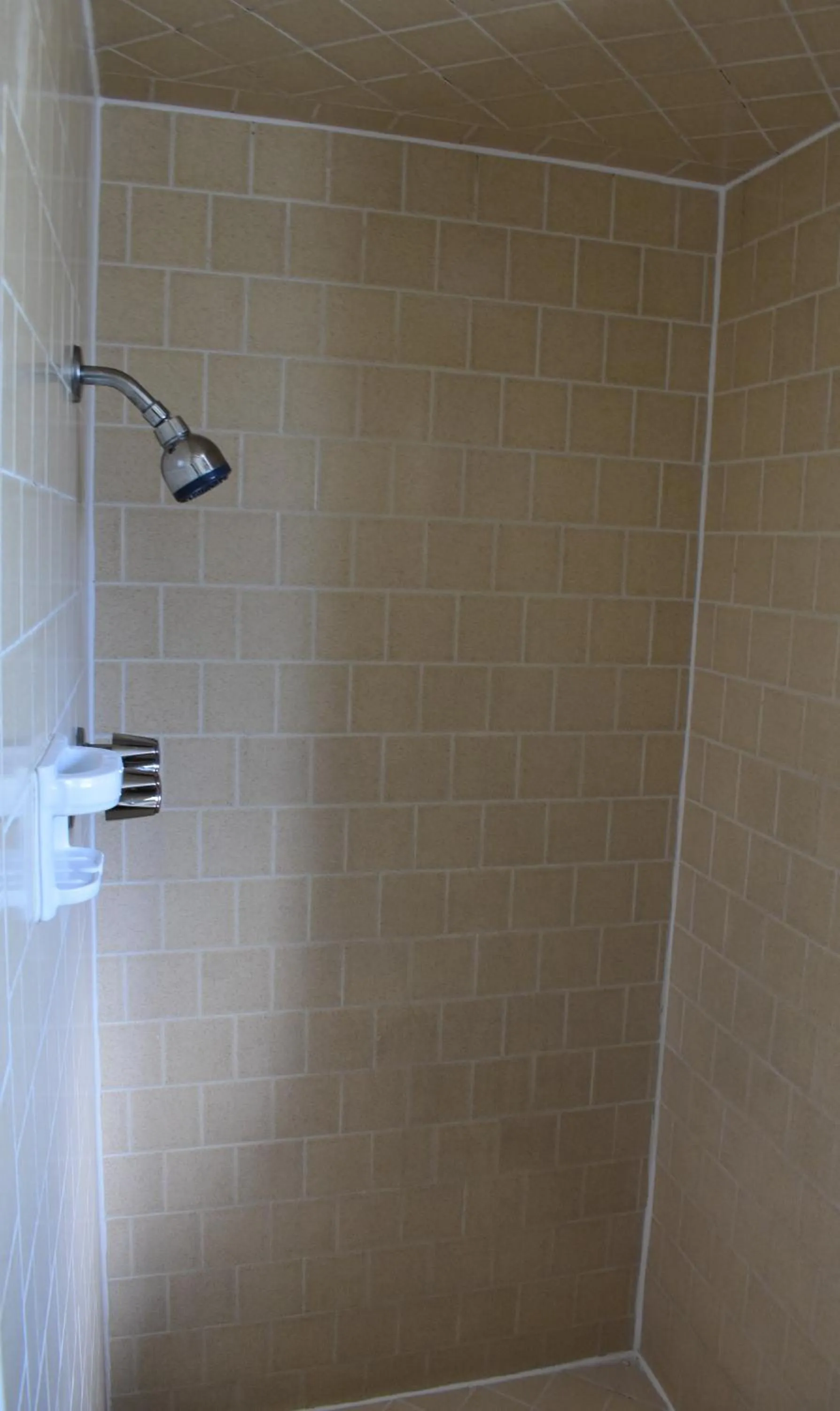 Shower in Country Inn