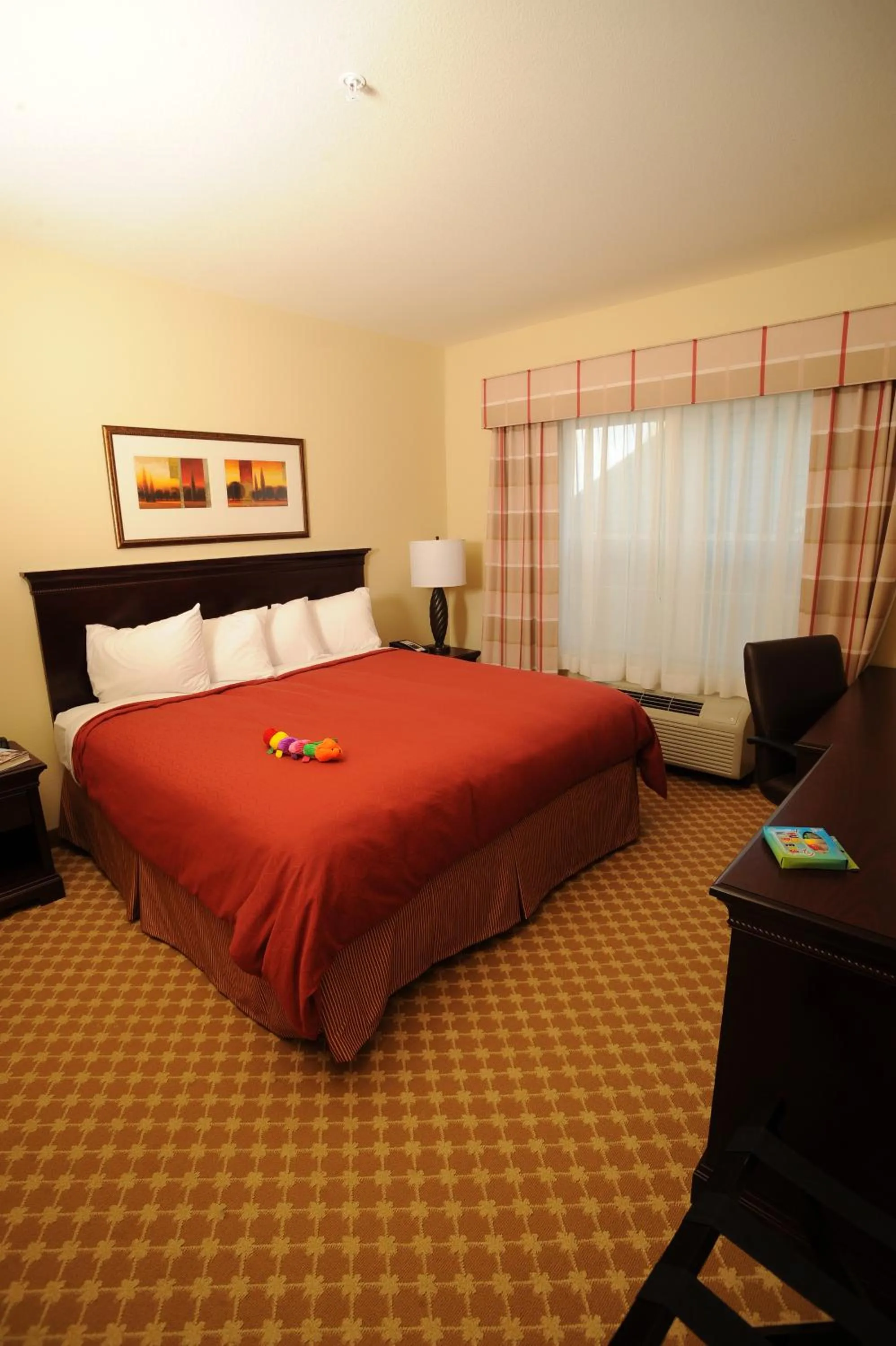 One-Bedroom King Suite - Disability Access - Non-Smoking in Country Inn & Suites by Radisson, Concord (Kannapolis), NC
