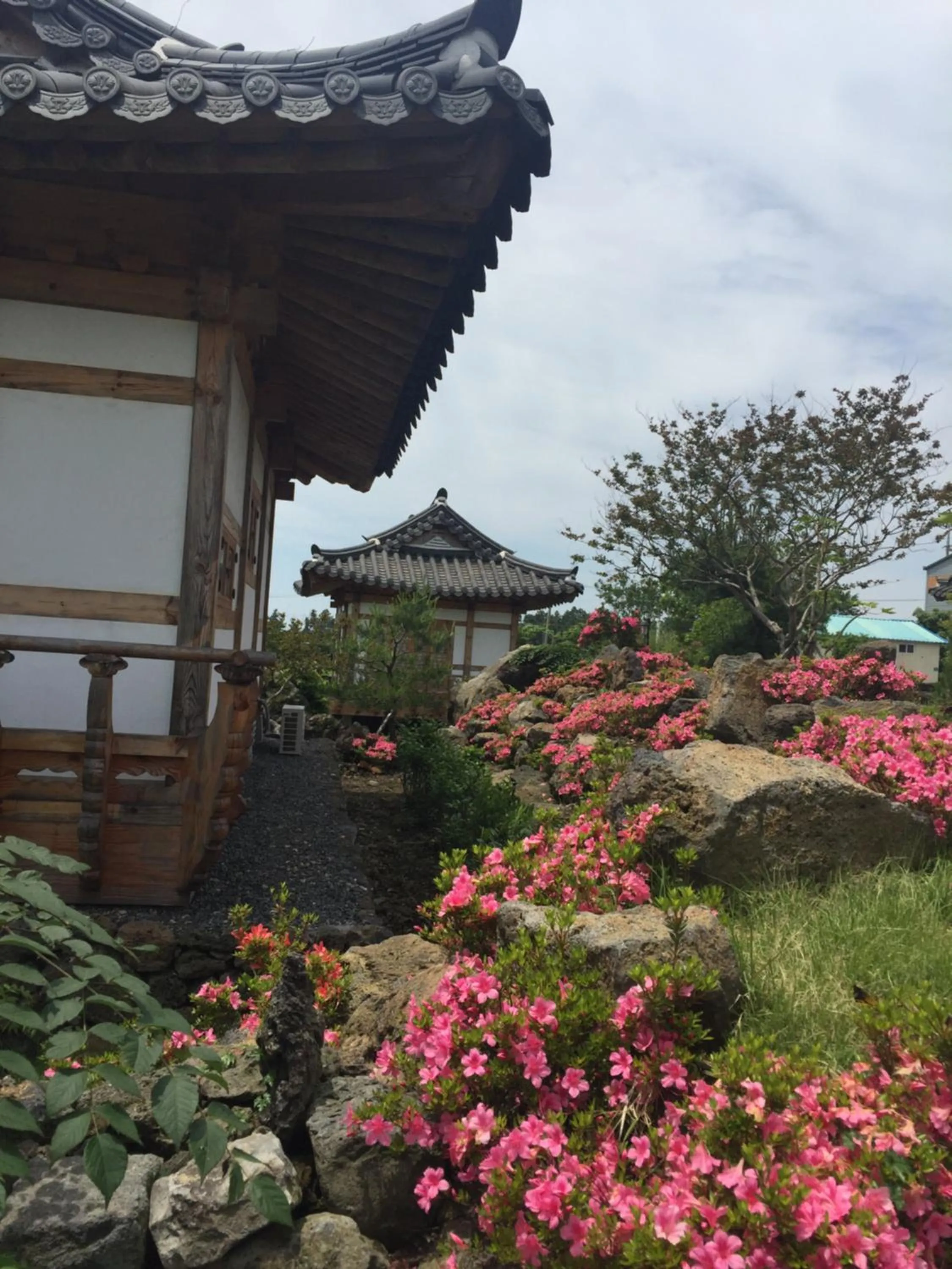 Canopus Resort Pension