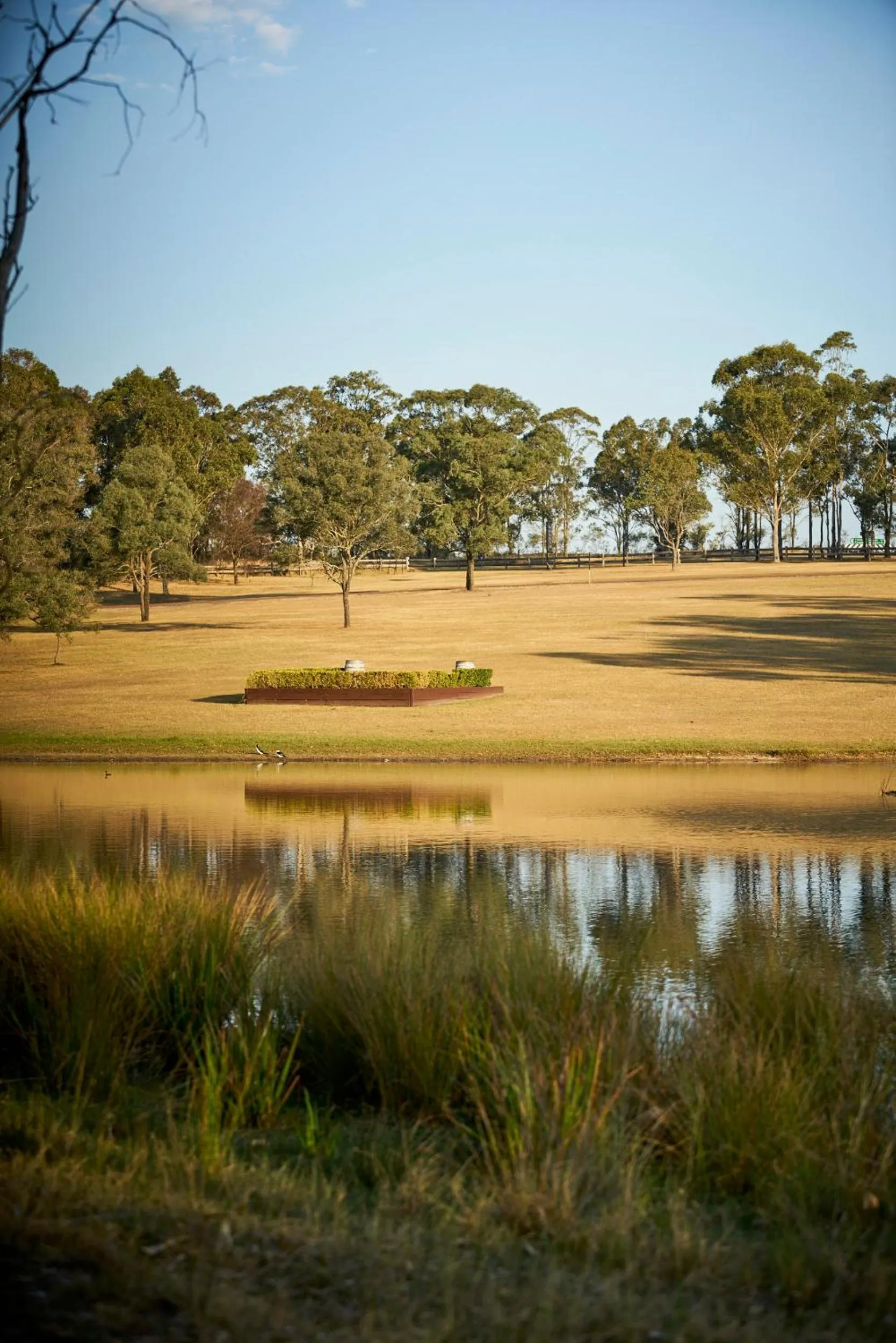 Natural landscape in Wandin Valley Estate