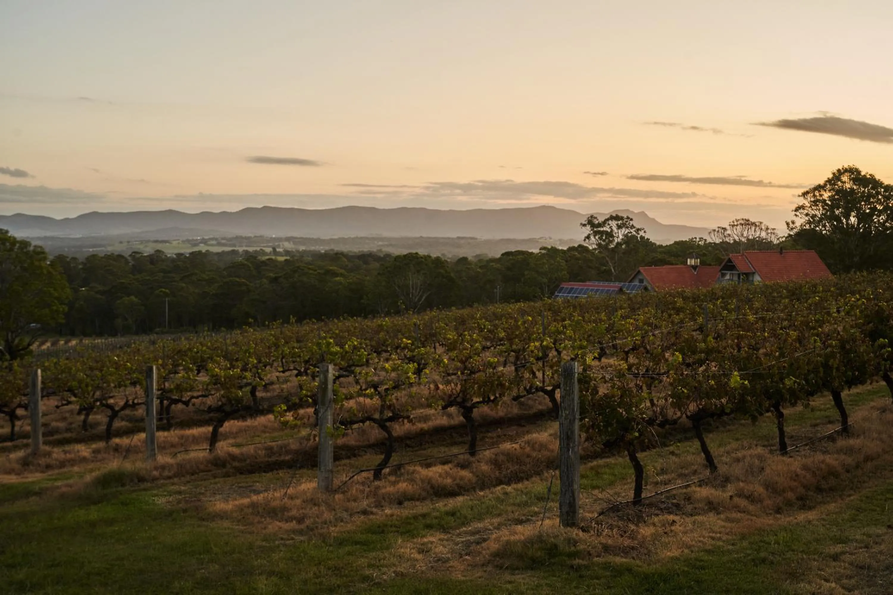 Garden view in Wandin Valley Estate