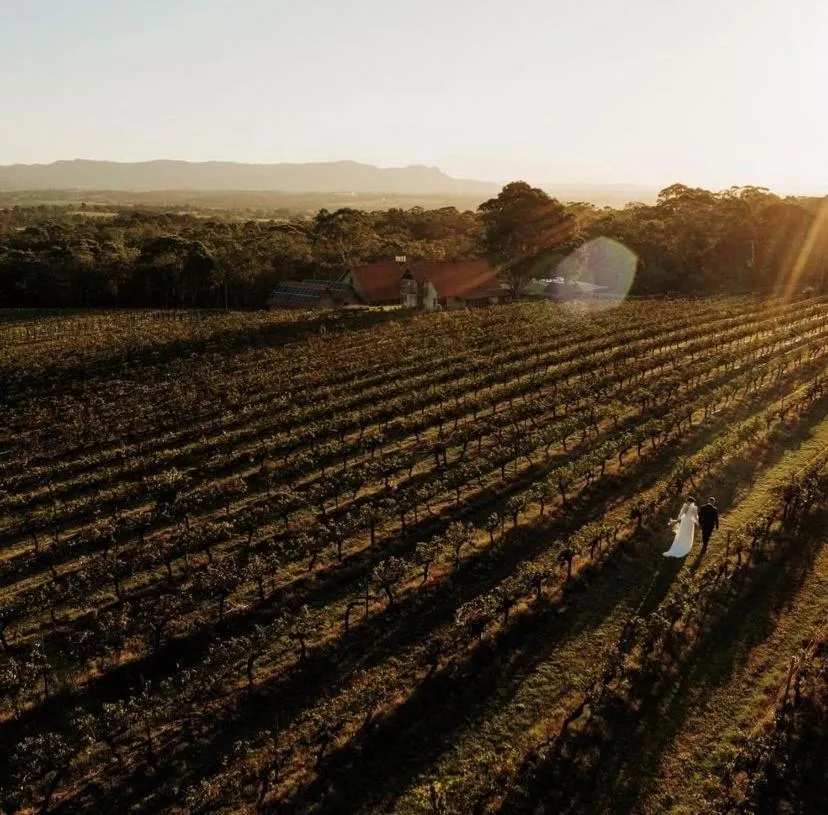 Natural landscape in Wandin Valley Estate