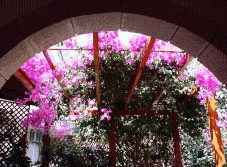 Facade/entrance in Summer Memories Aparthotel