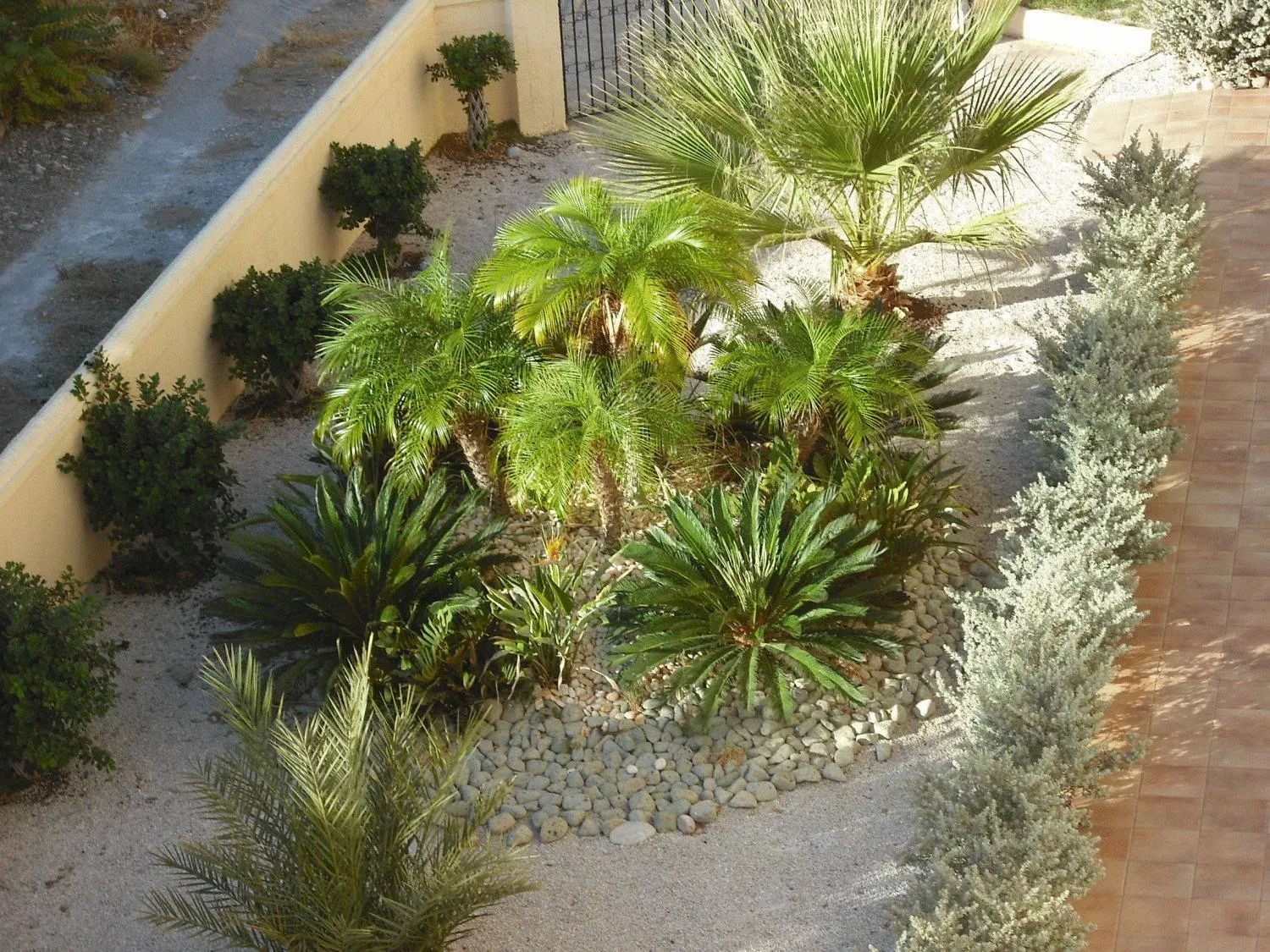 Garden in Summer Memories Aparthotel