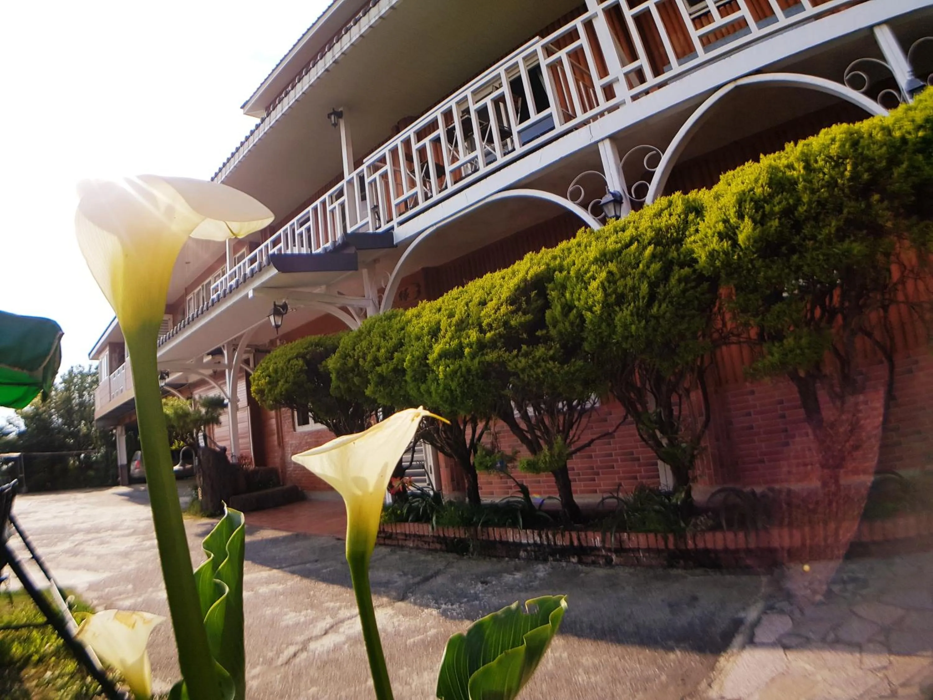 Shan Shui-Yuan Vege Guest House