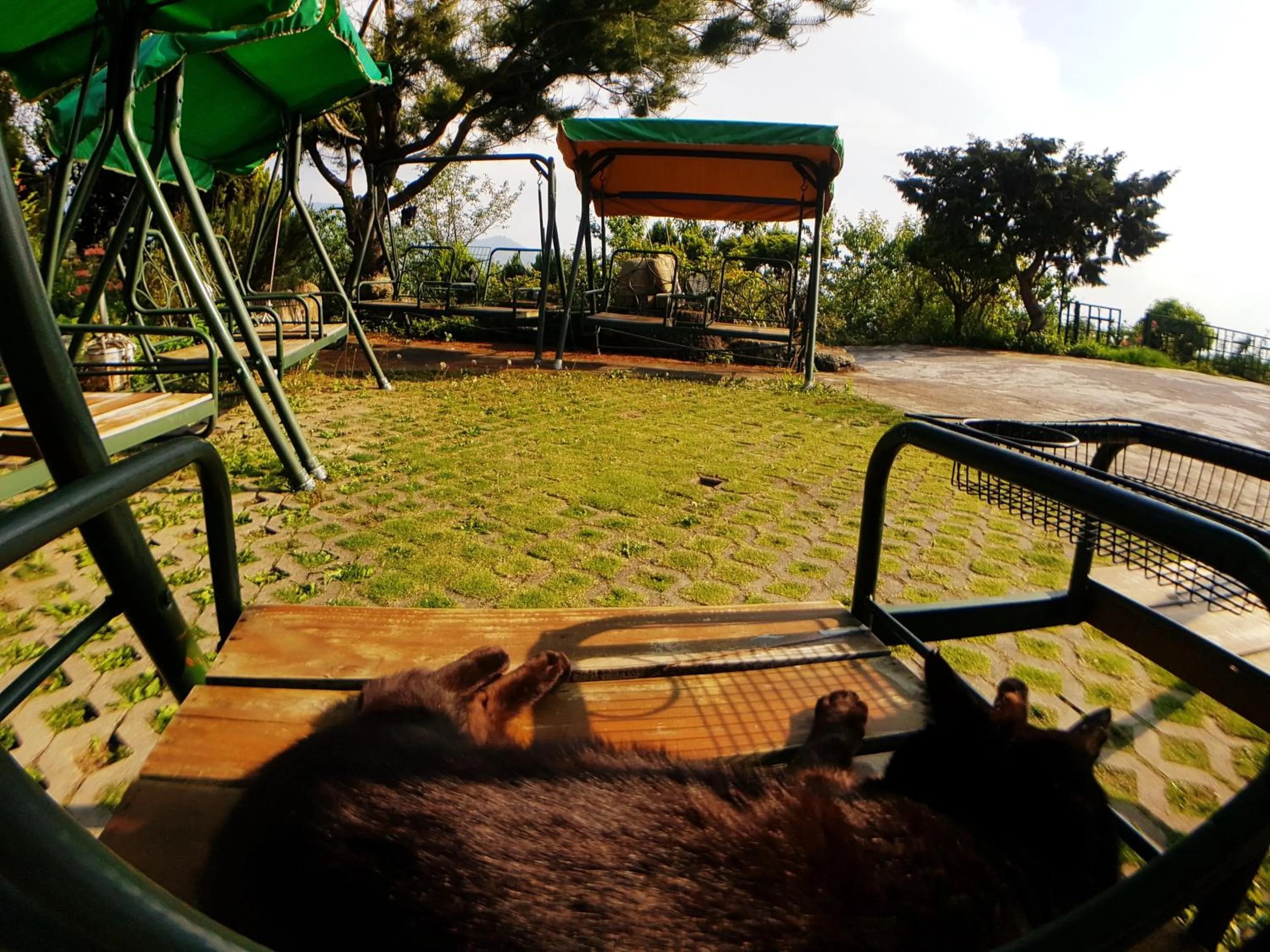 Shan Shui-Yuan Vege Guest House