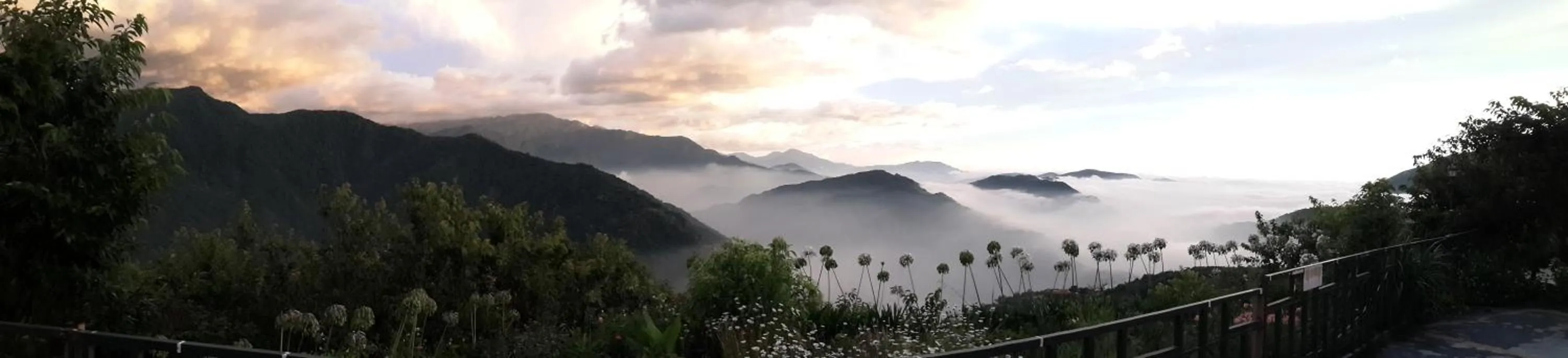 Spring in Shan Shui-Yuan Vege Guest House