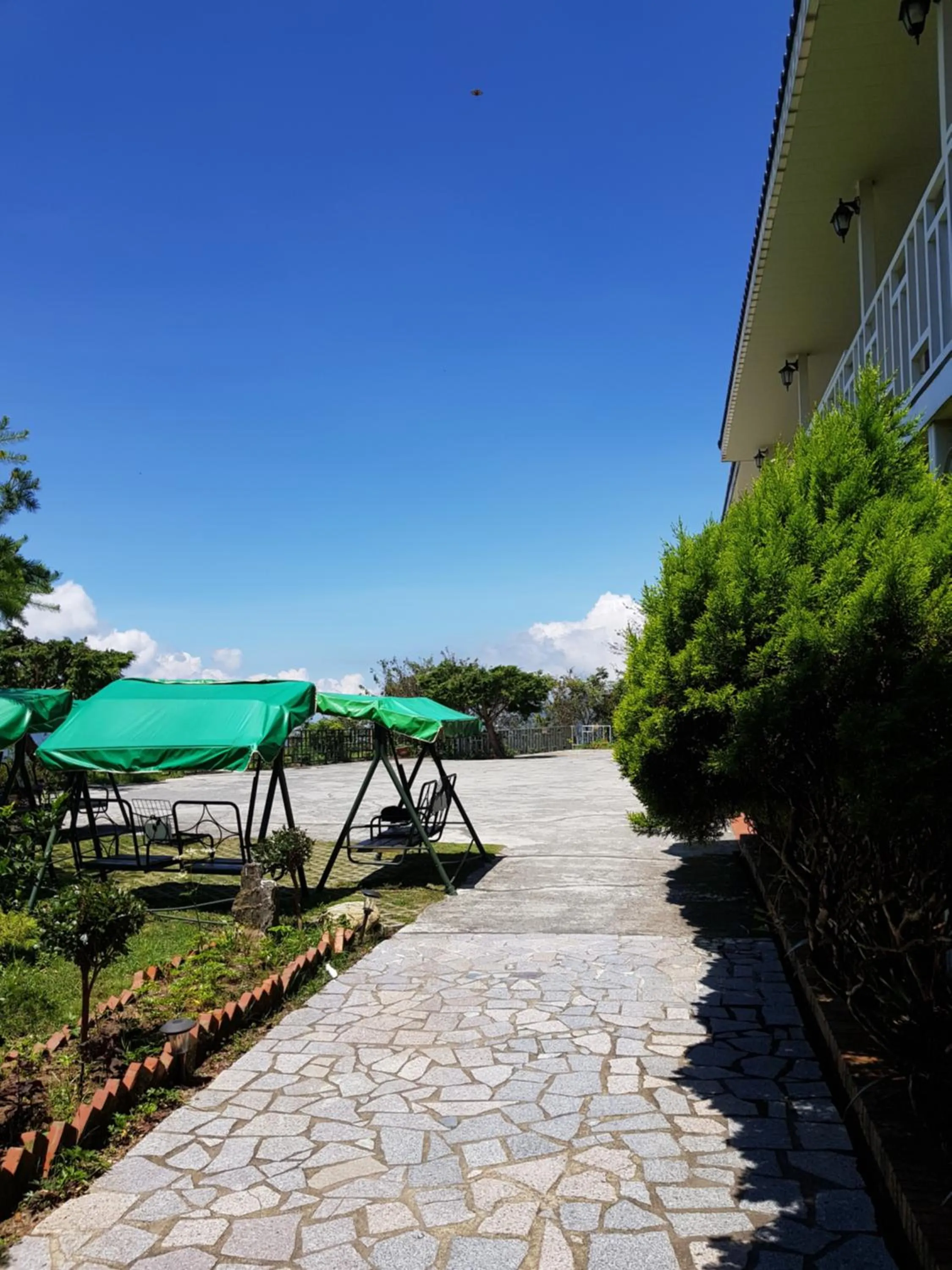 Spring in Shan Shui-Yuan Vege Guest House