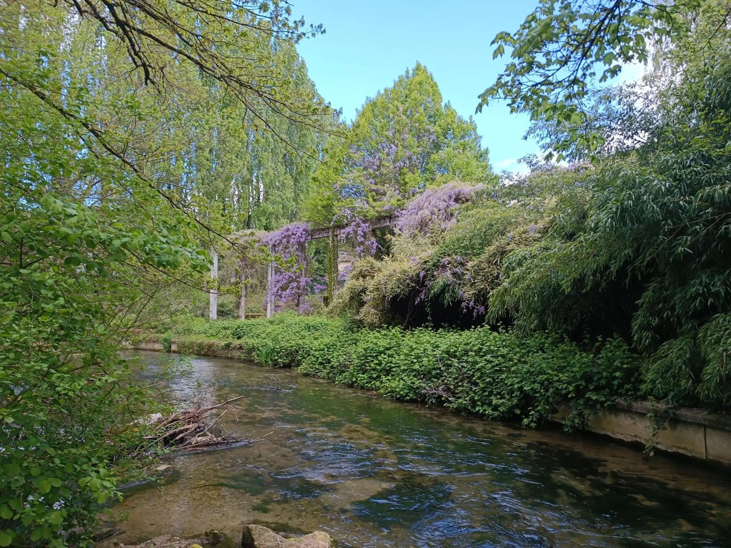 Natural landscape in Hotel Le Beauregard