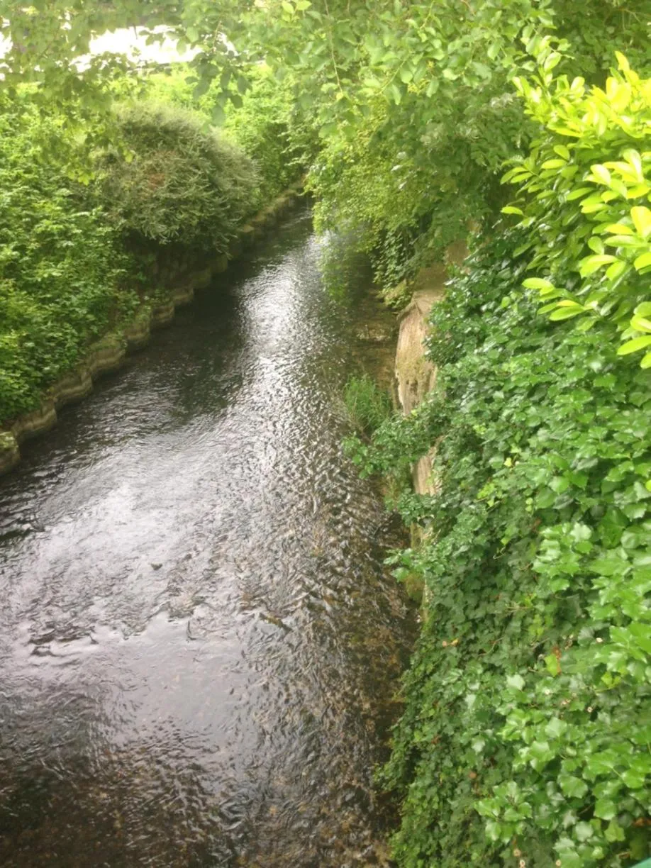 River view in Les Cottages de la Norge