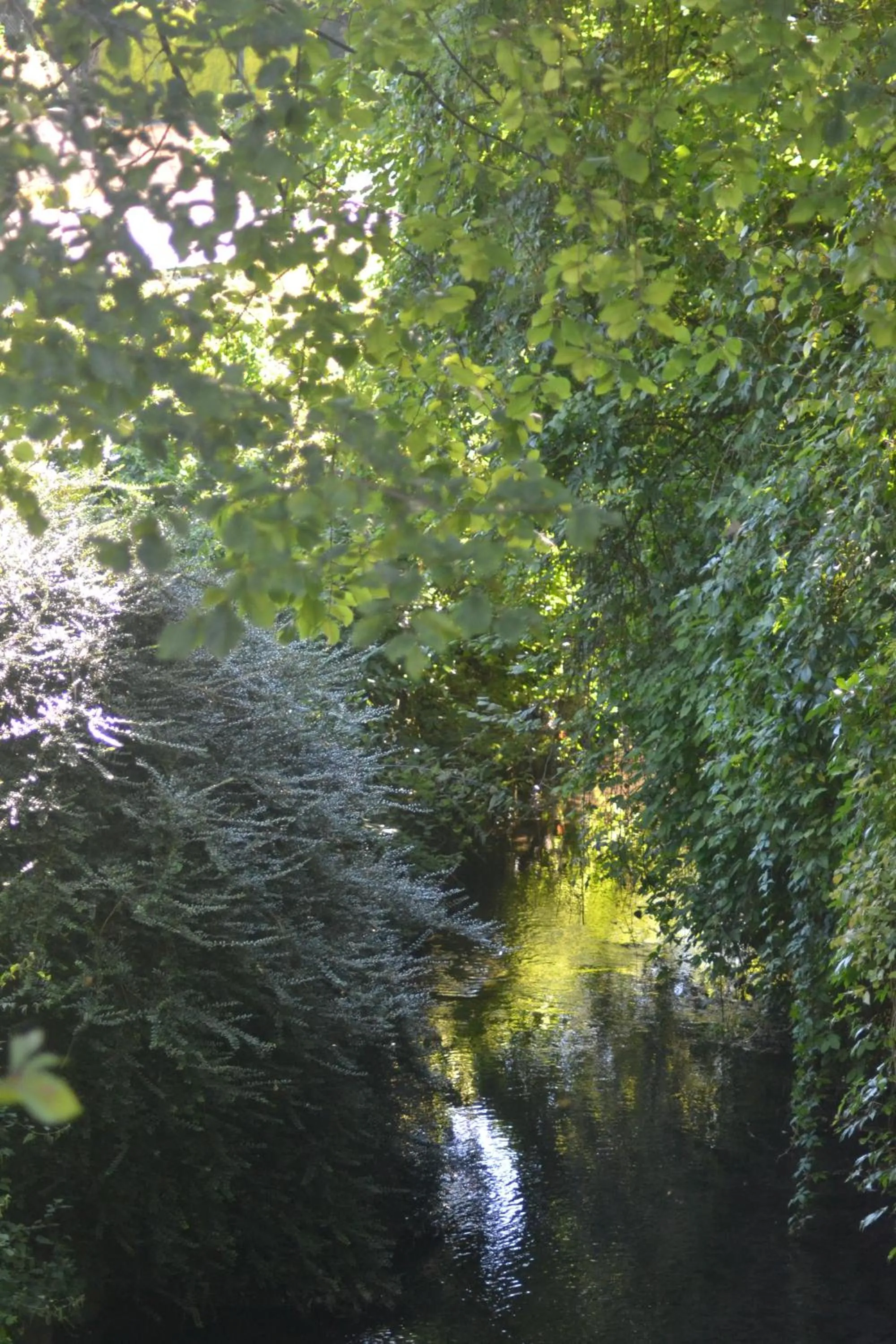 Garden view in Les Cottages de la Norge