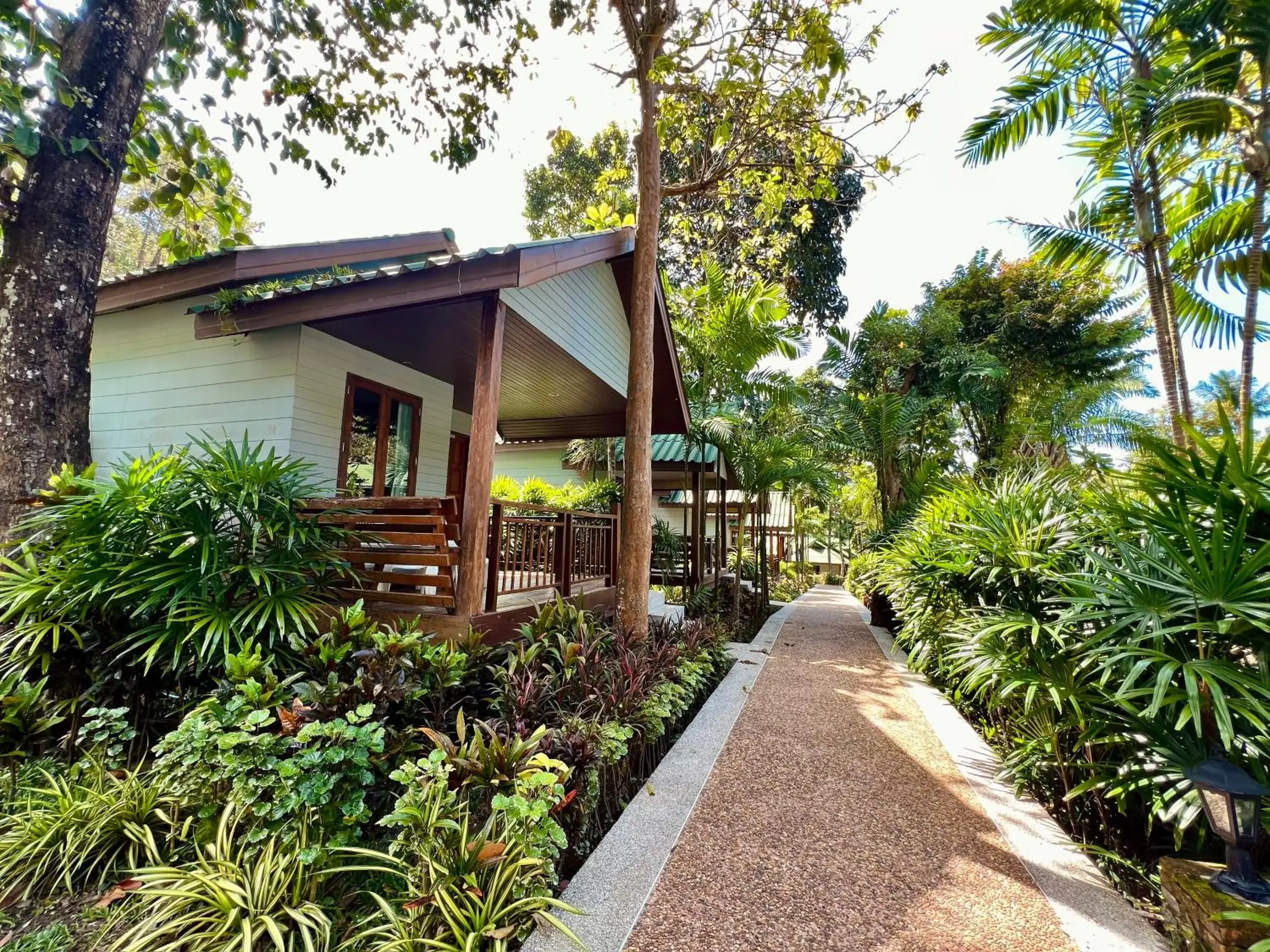 Superior Bungalow with Air Condition in Dream Valley Resort, Tonsai Beach Superior Bungalow with Air Condition in Dream Valley Resort, Tonsai Beach