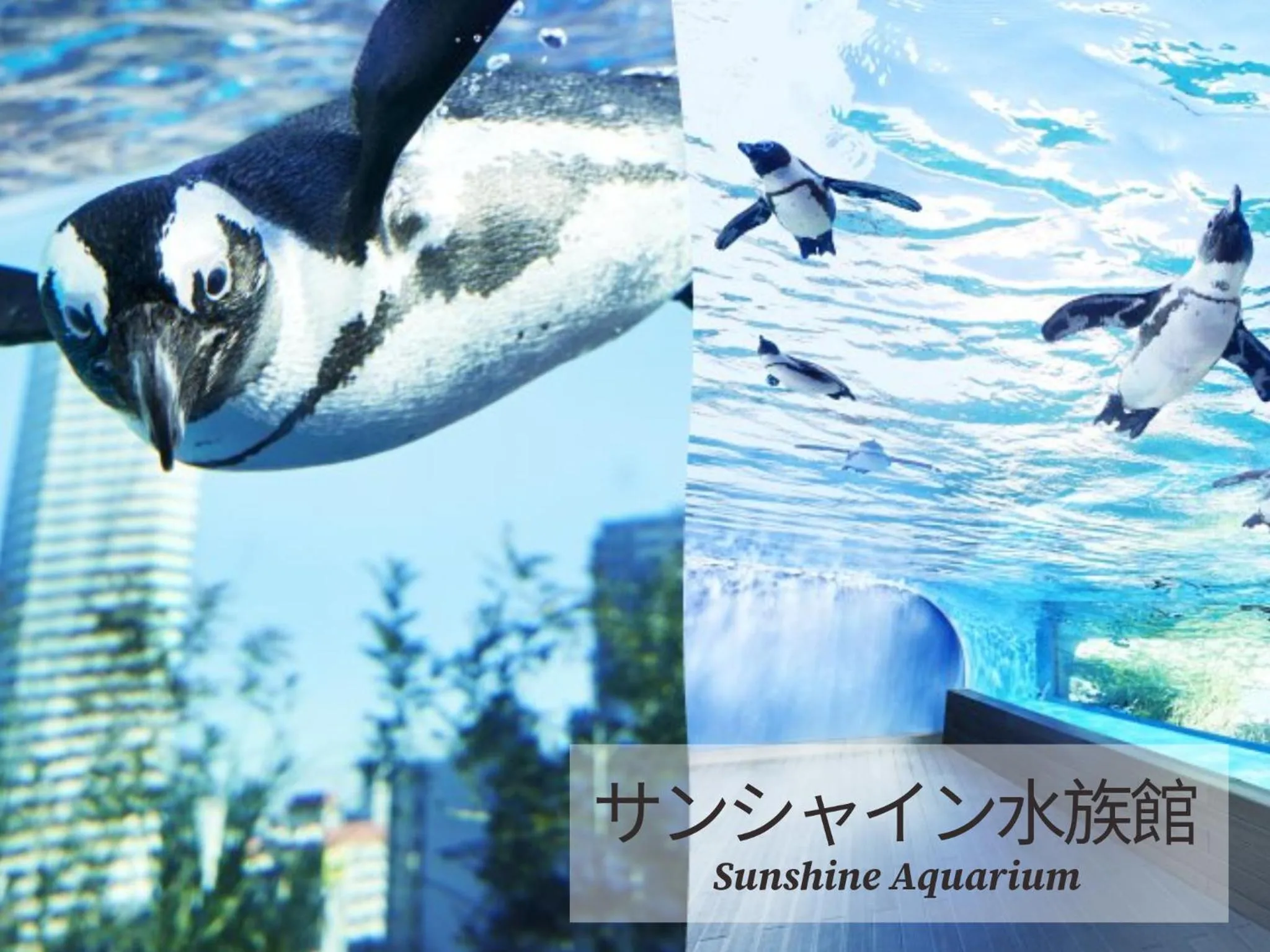 Nearby landmark in Restay Frontier (Adult Only)