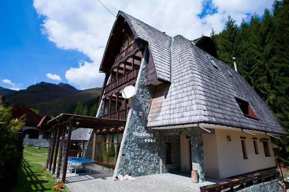 Property building in Vila Ursul