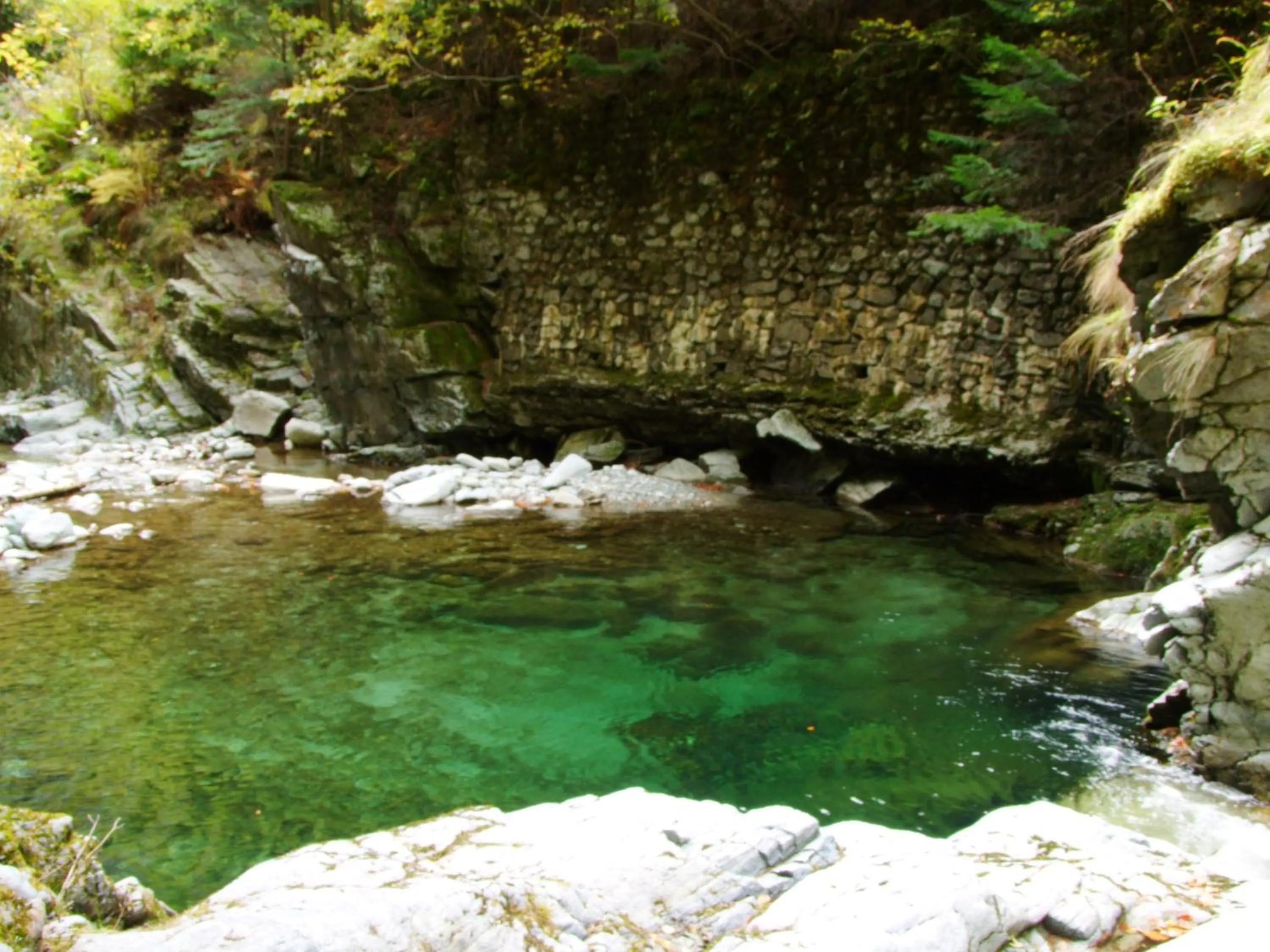 Property building in Vila Ursul