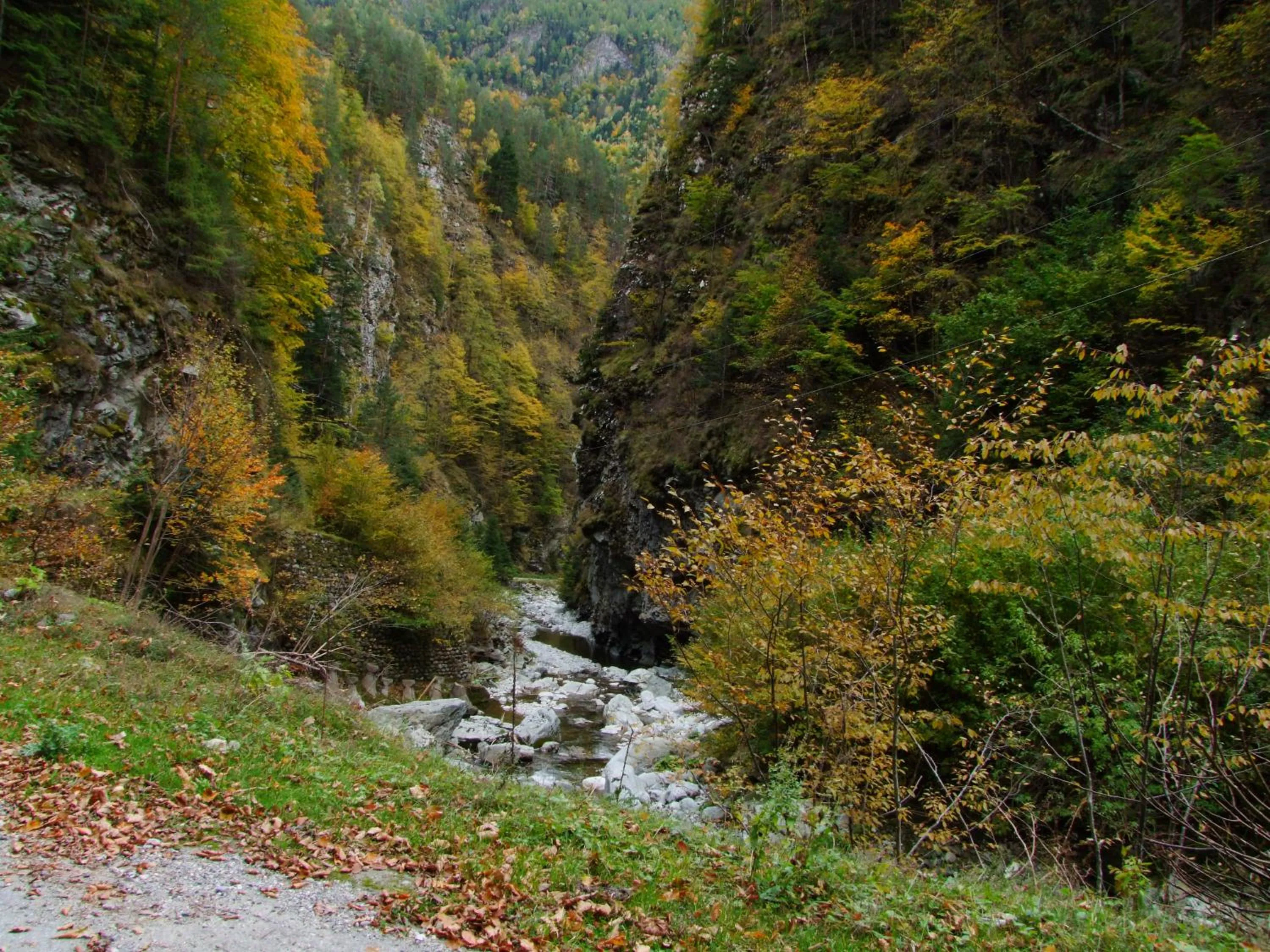 Property building in Vila Ursul