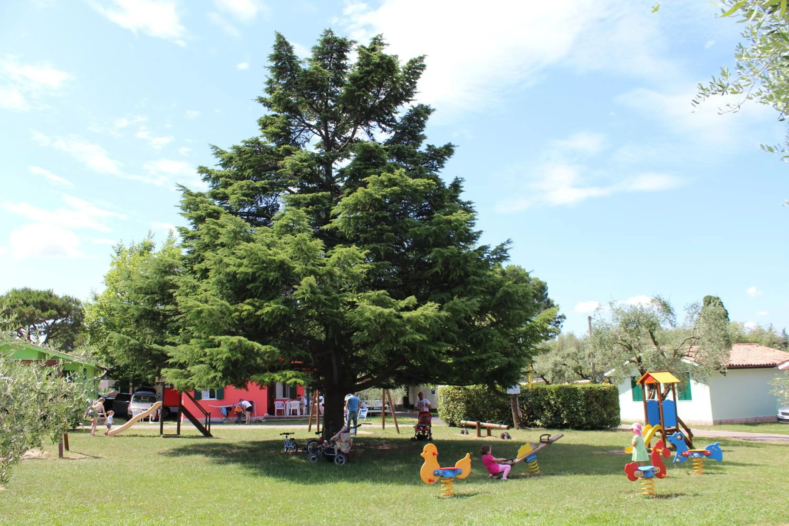 Children play ground in Camping Cisano - San Vito