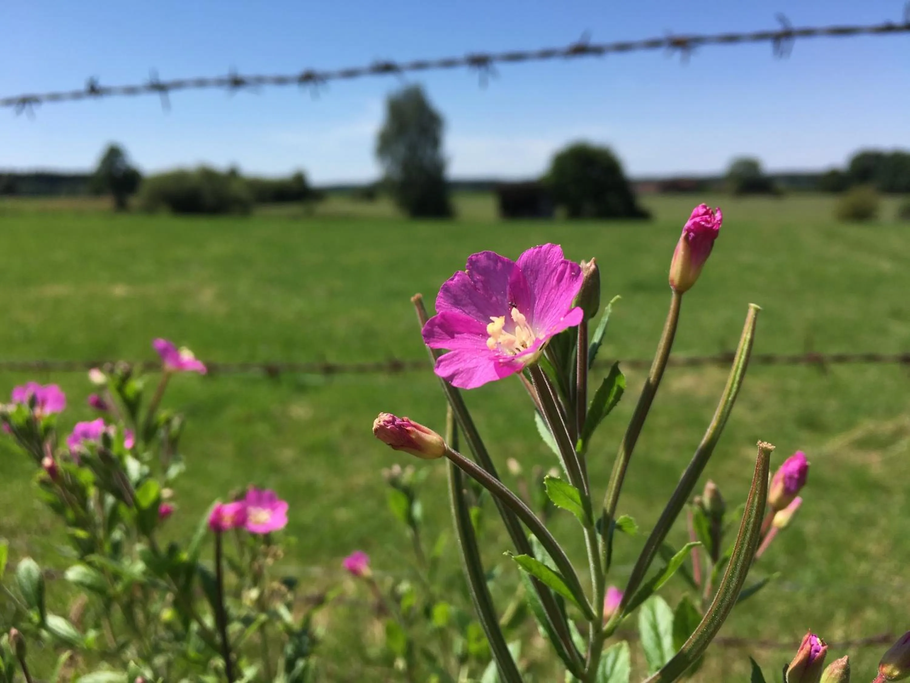 Hiking in Hotel Bayernwinkel - Yoga & Ayurveda