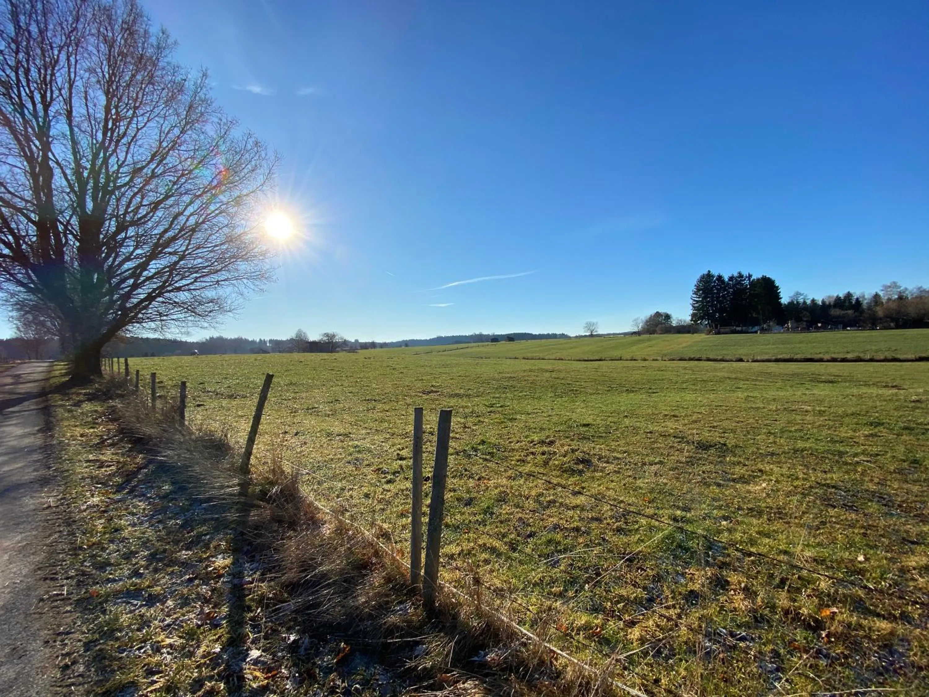 Hiking in Hotel Bayernwinkel - Yoga & Ayurveda