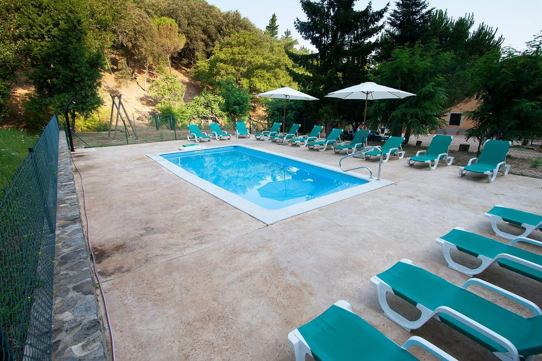 Swimming pool in Can Dalemus