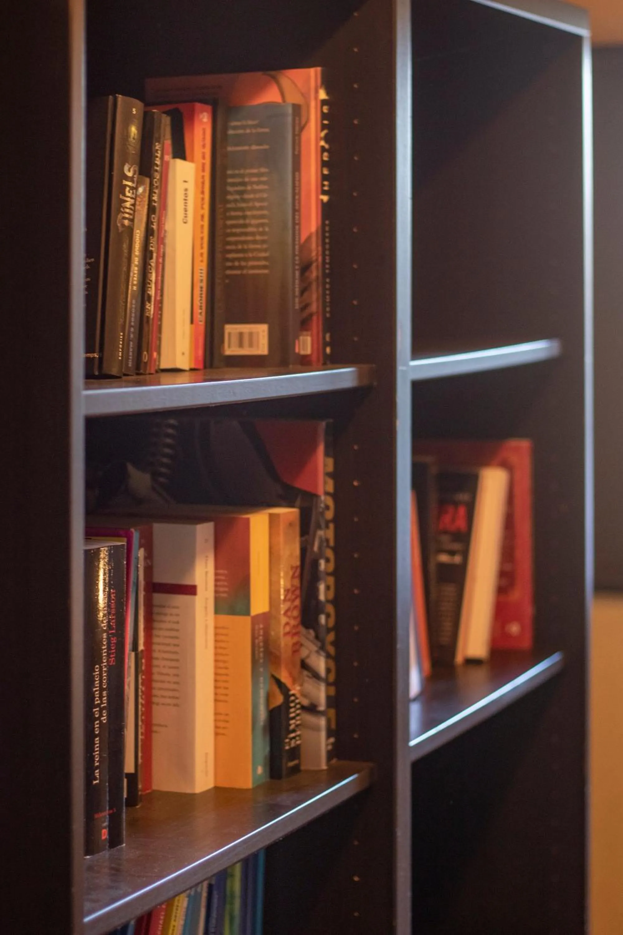 Library in Can Dalemus