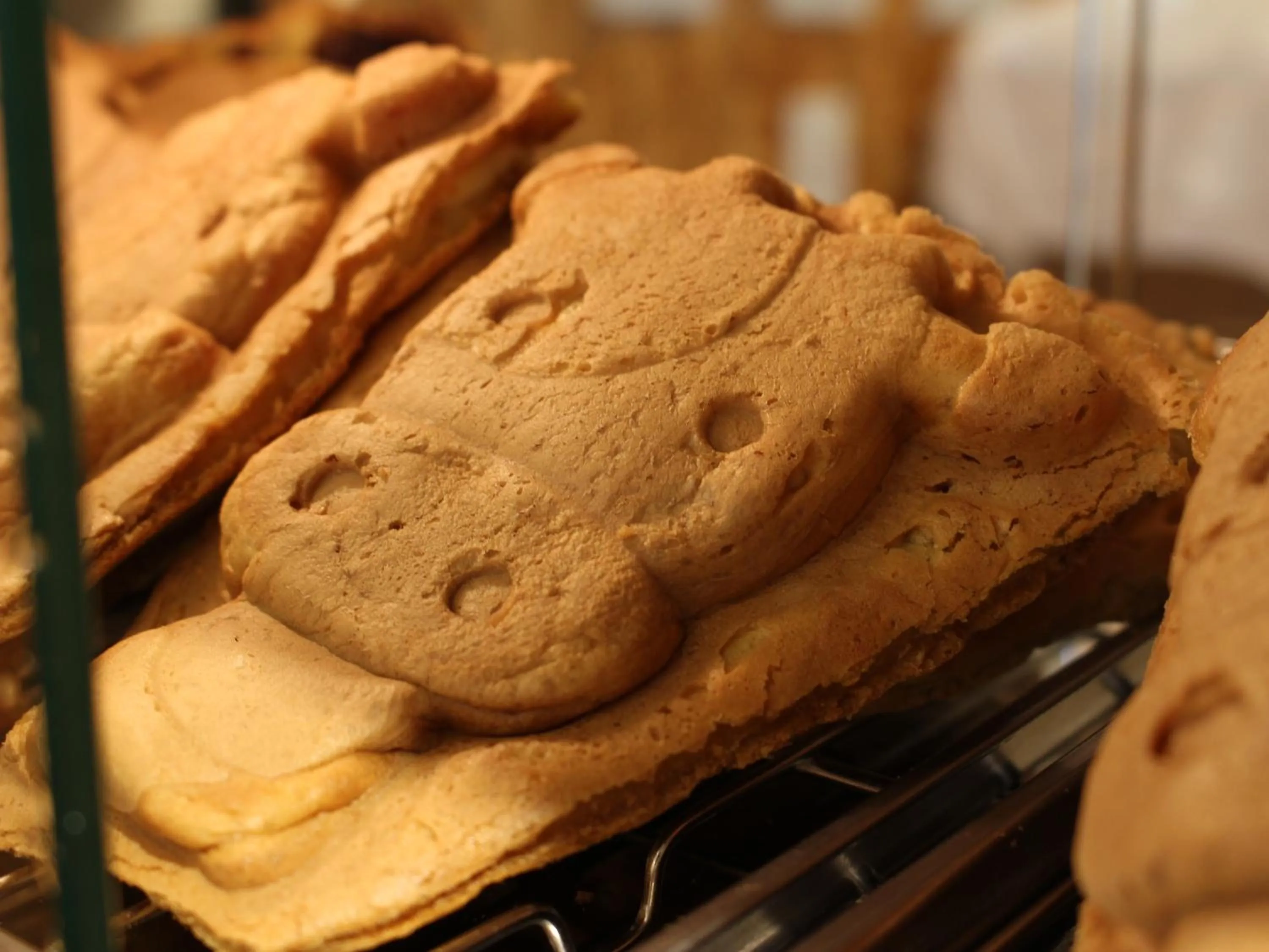 Shopping Area in Hotel Higashimokoto