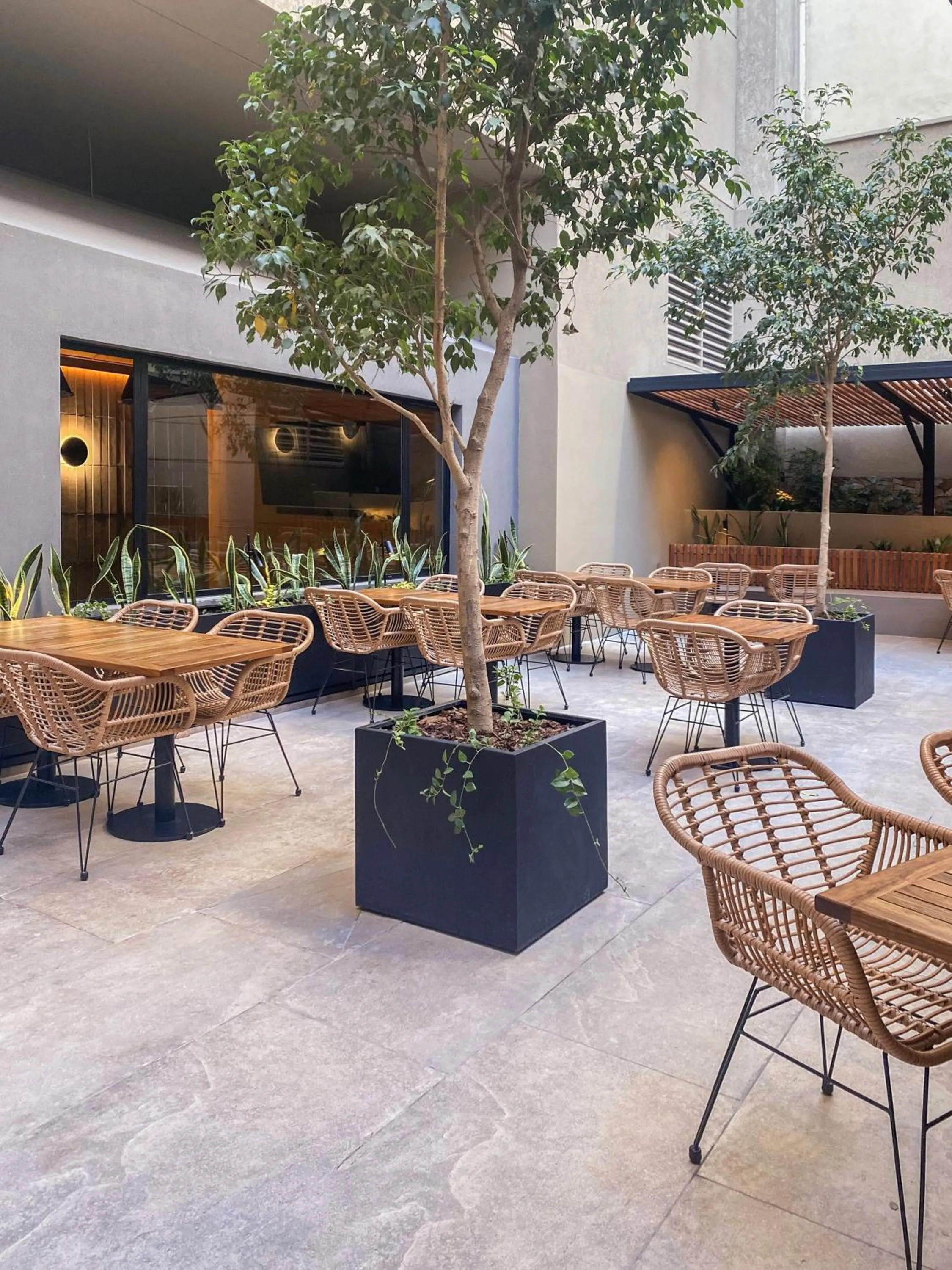 Restaurant/places to eat in Hotel Alejandro I - Affiliated by Meliá