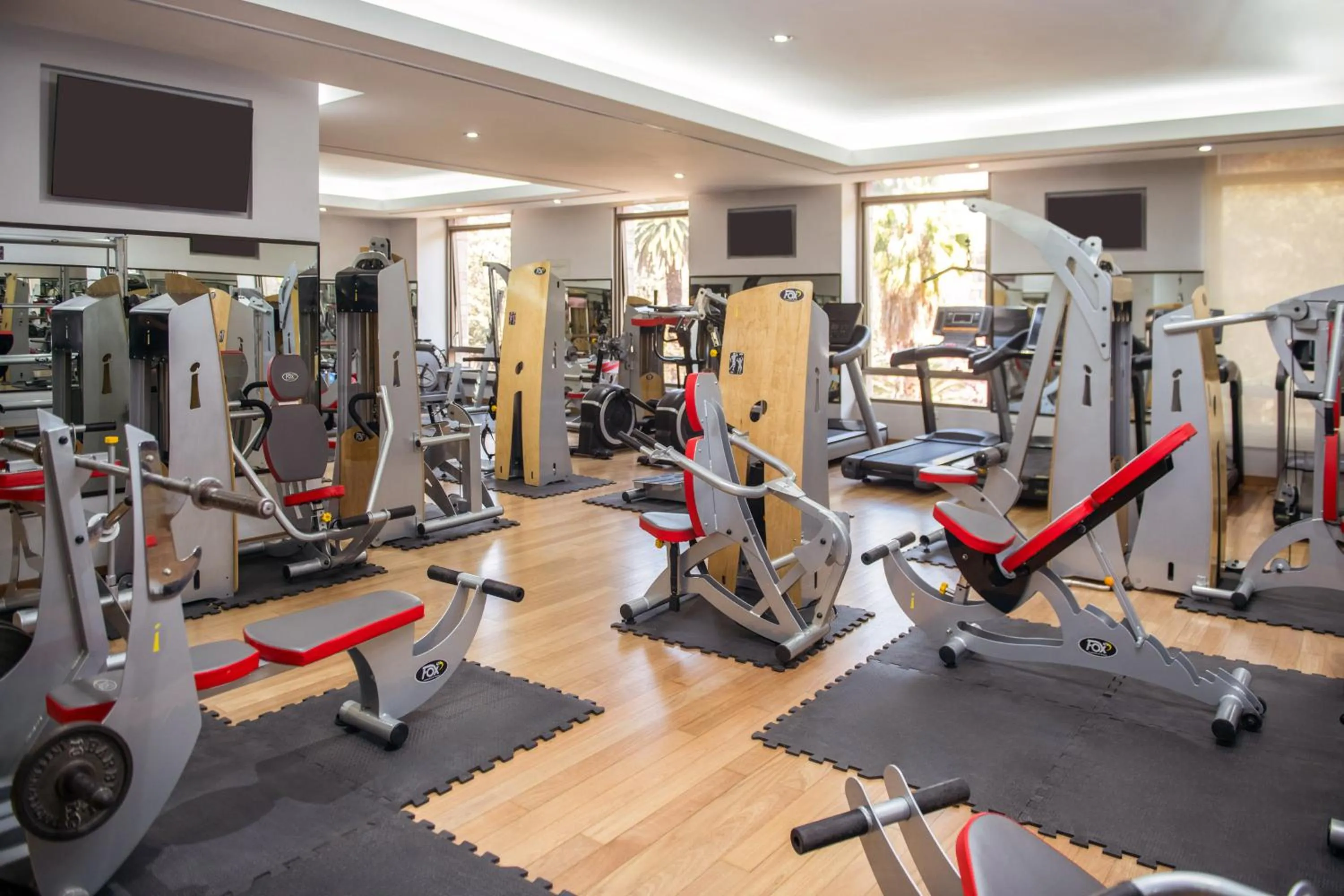 Fitness centre/facilities in Hotel Alejandro I - Affiliated by Meliá