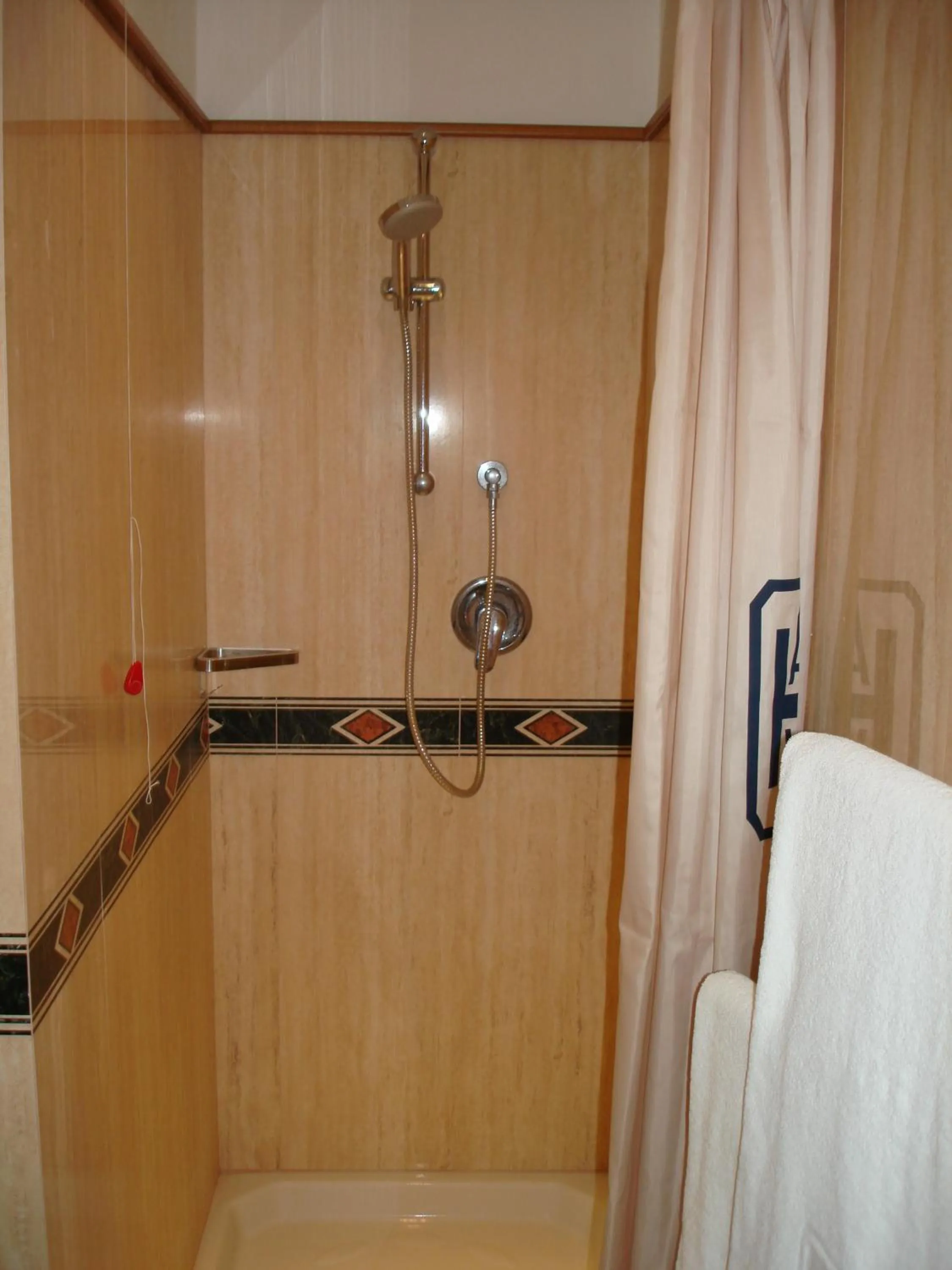 Shower in Hotel Ariston