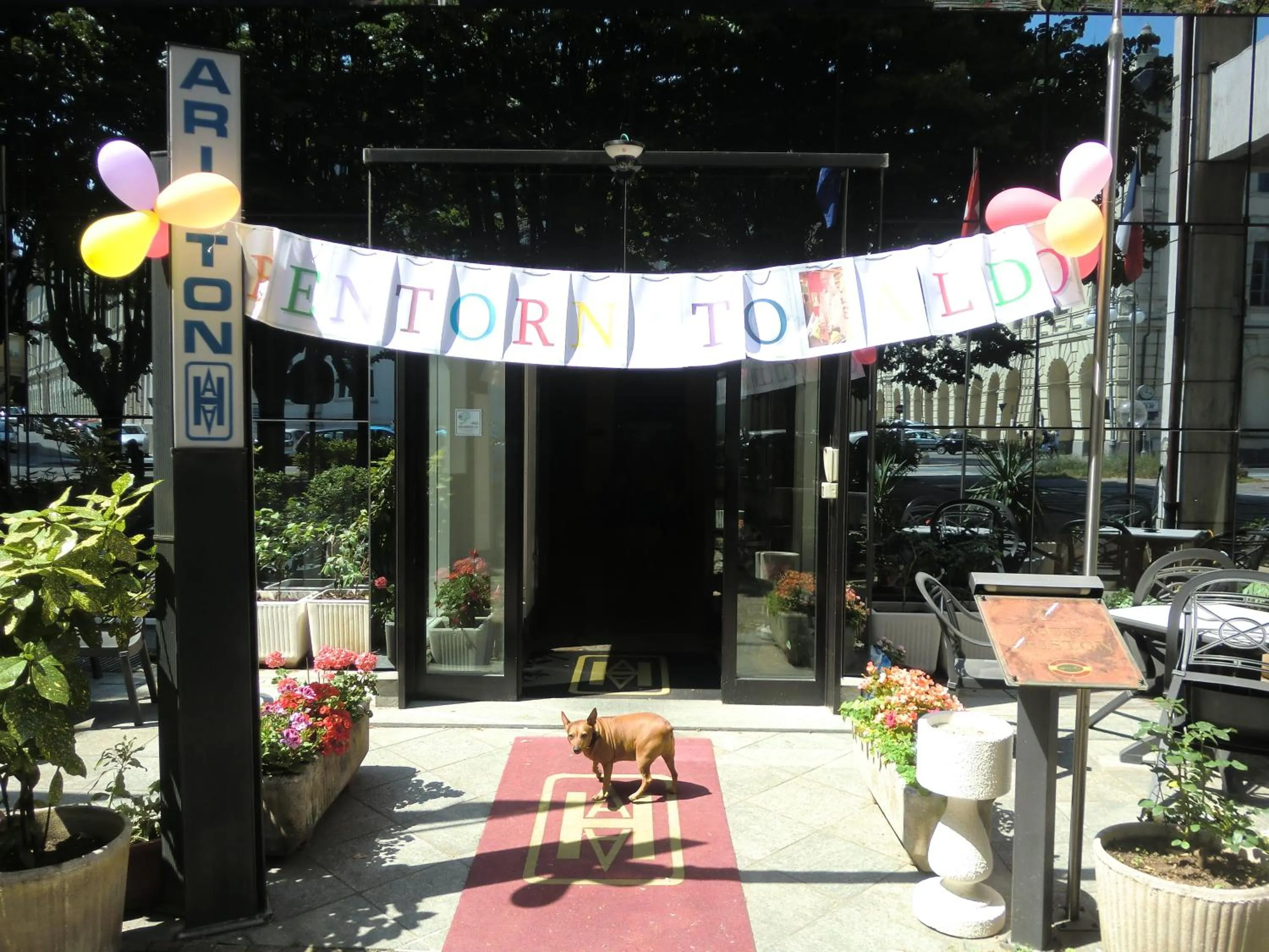 Facade/entrance in Hotel Ariston