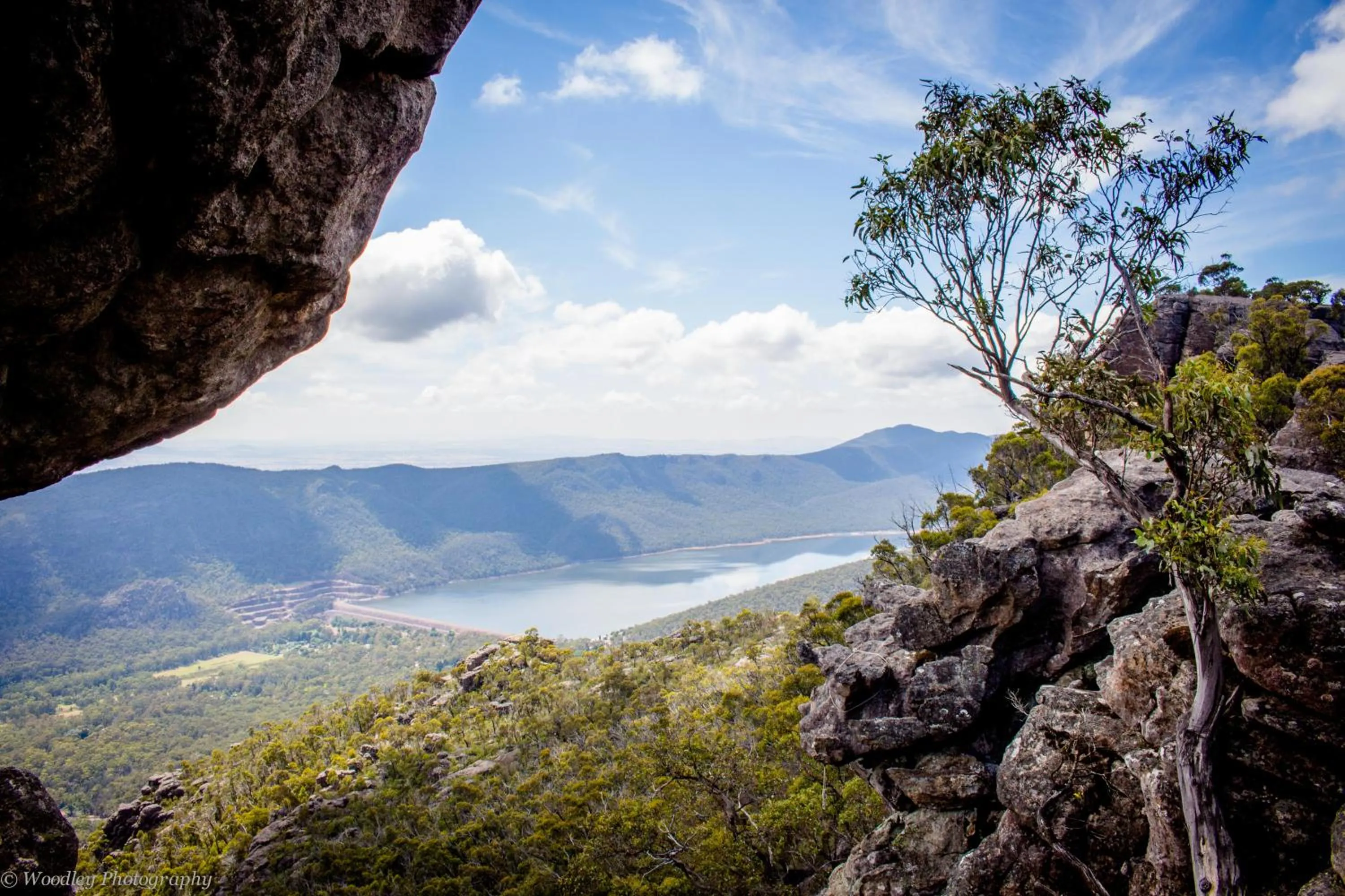Natural landscape in Bushland