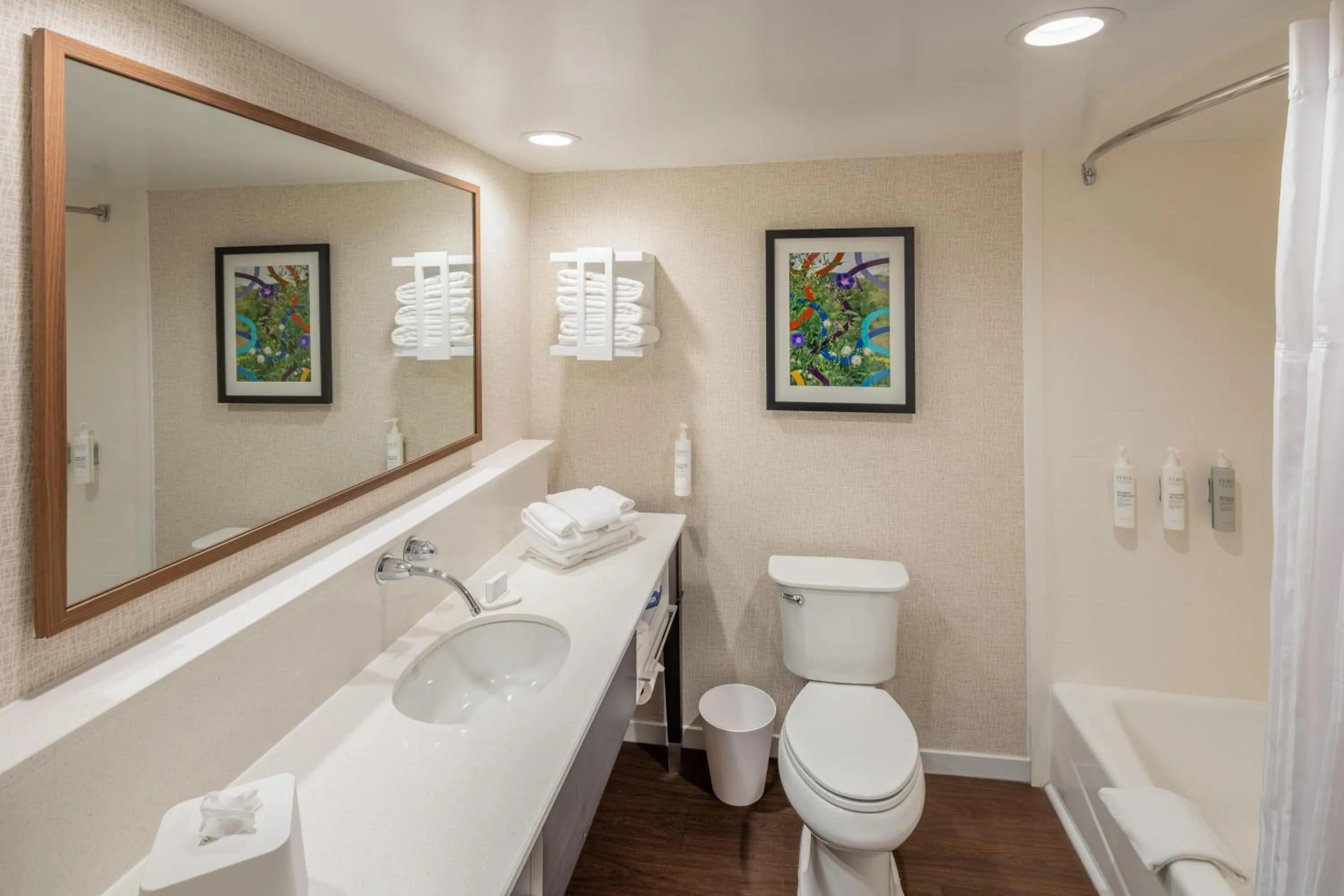 Bathroom in Hampton Inn and Suites Asheville Airport