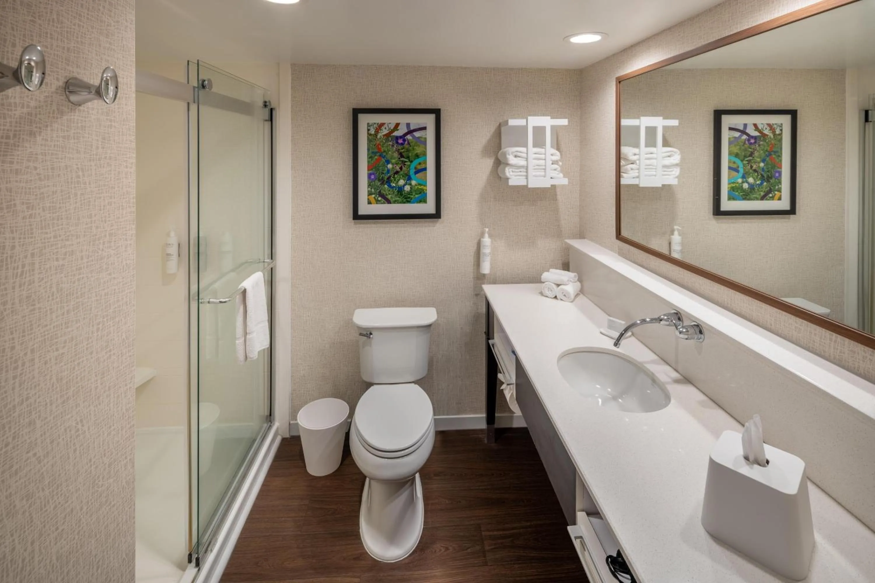 Bathroom in Hampton Inn and Suites Asheville Airport